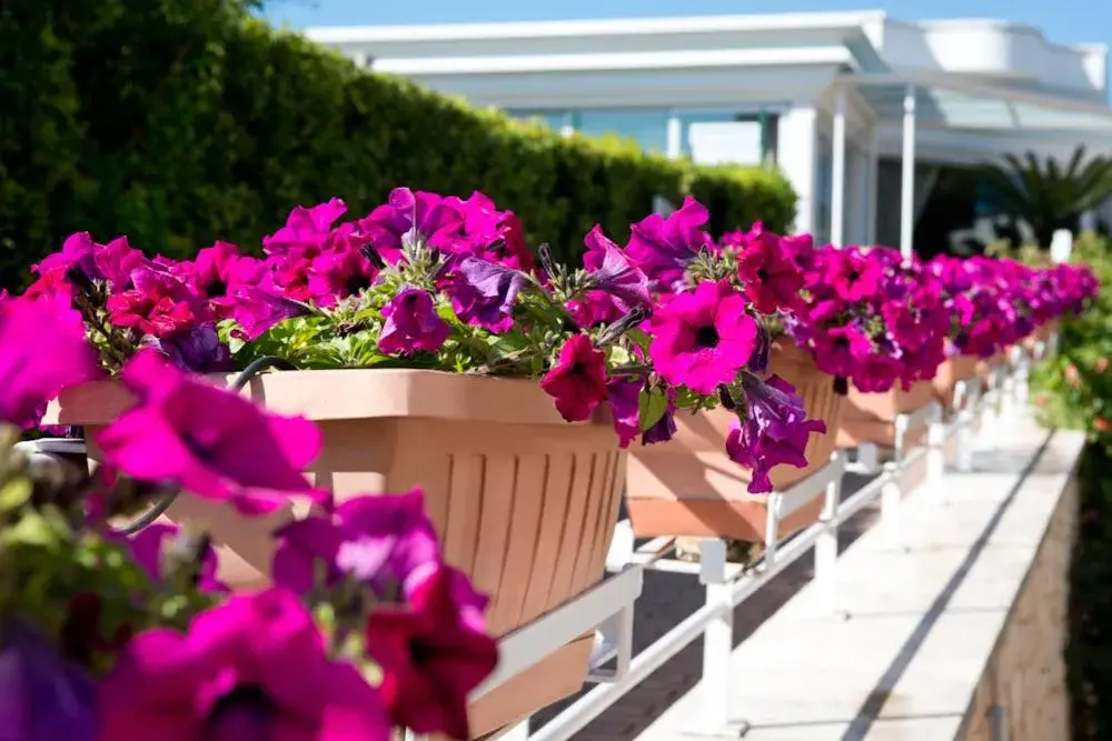 Garden in Park Hotel La Grave