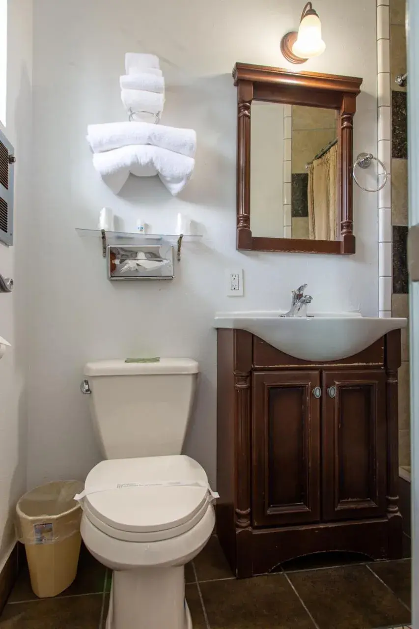 Bathroom in Swiss Holiday Lodge