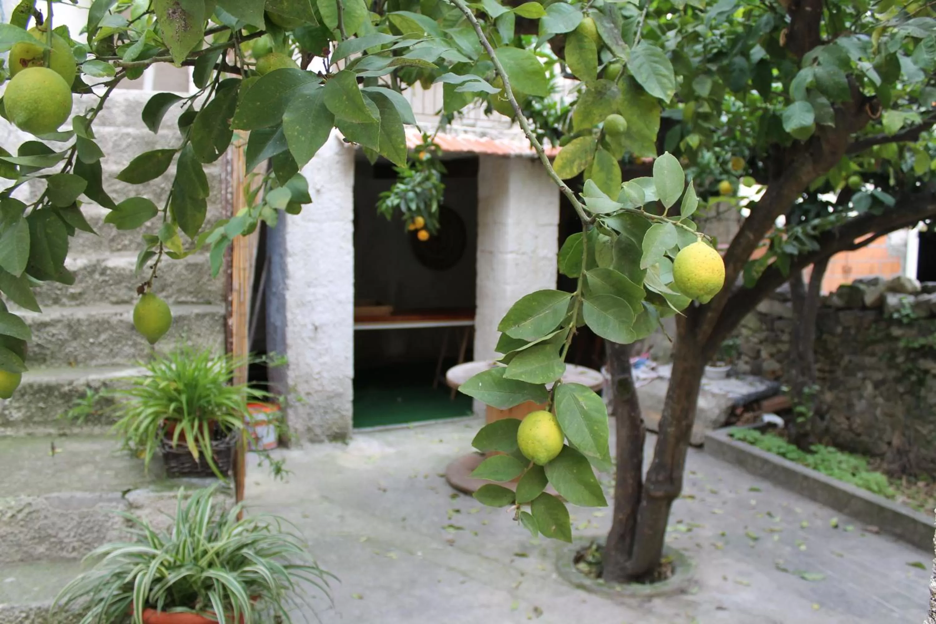 BBQ facilities in B&B Danonna