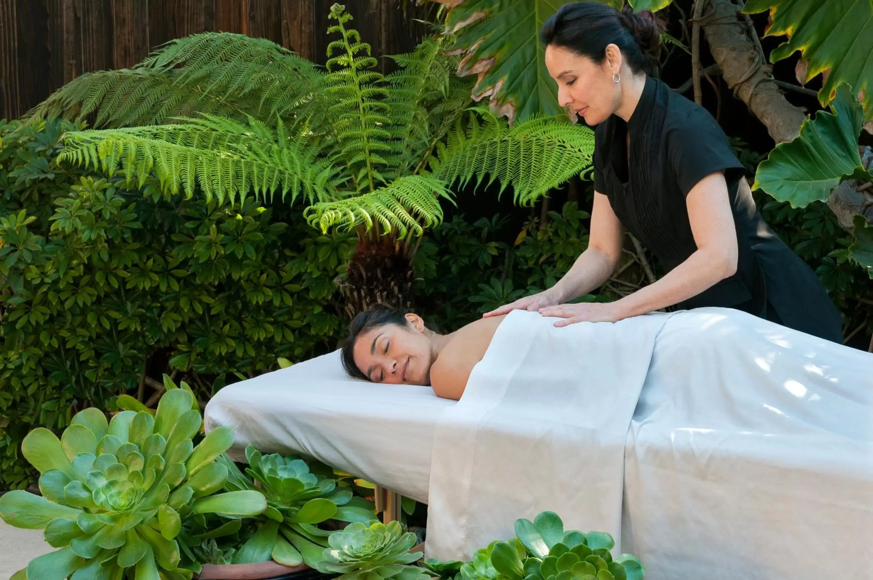 Massage in Paradise Point Resort & Spa