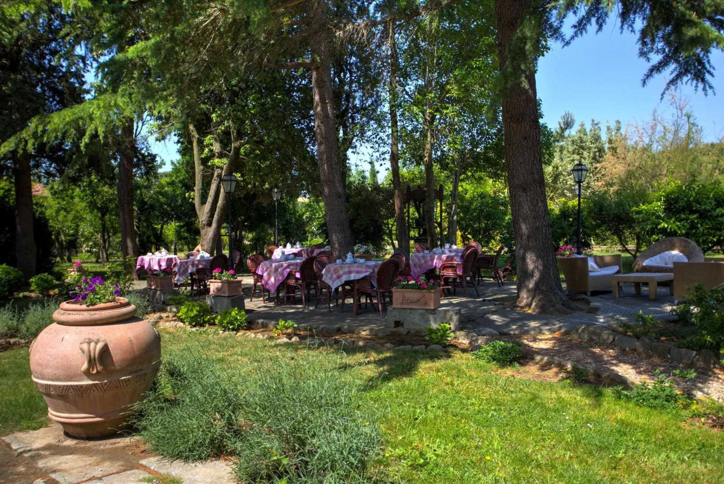 Day, Garden in Relais Villa Baldelli