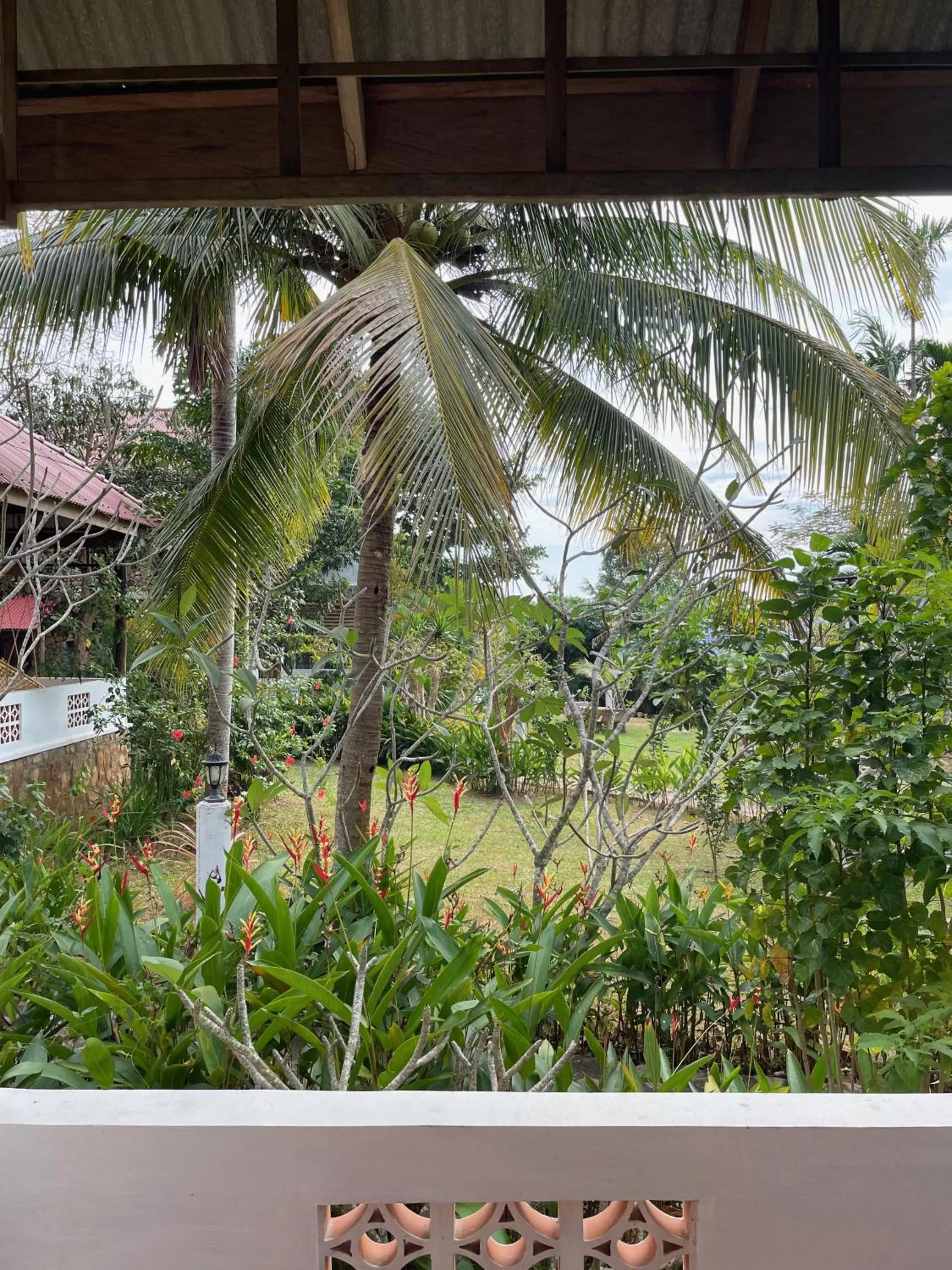 Garden in Kep Lodge