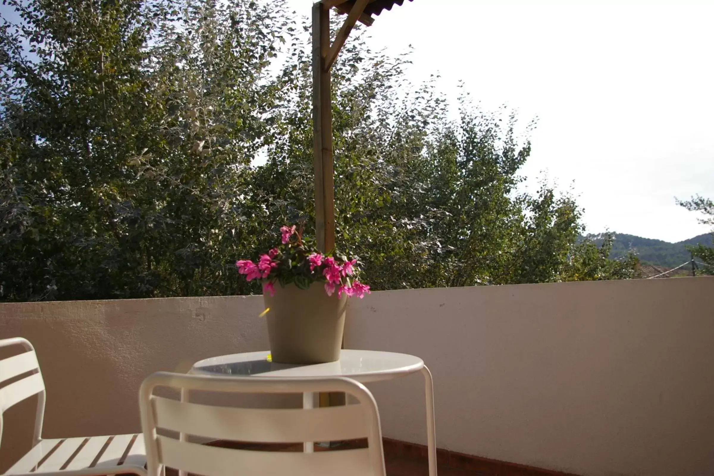 Balcony/Terrace in B&B Inés