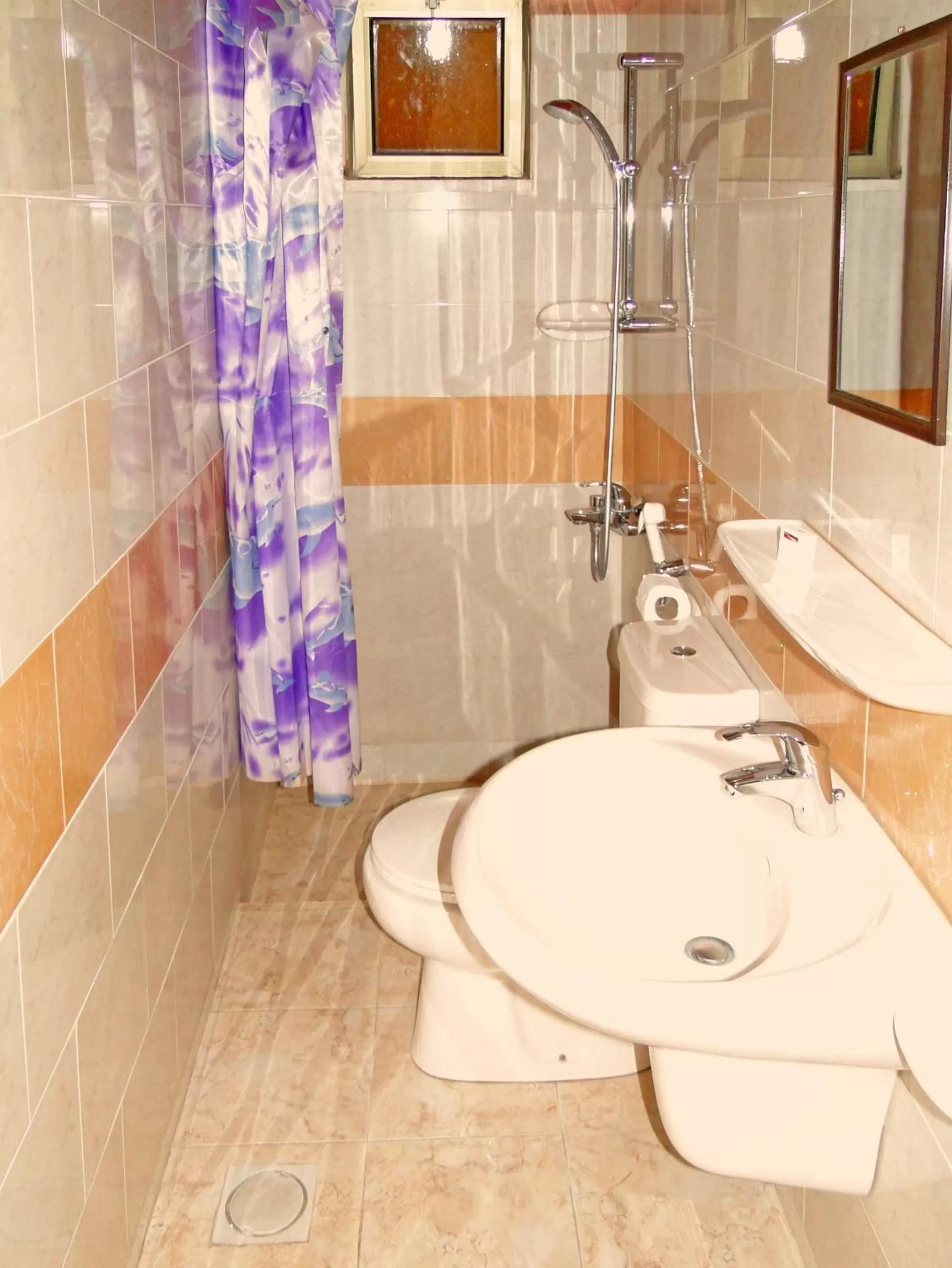 Bathroom in Arab Divers Dive Center and Bed & Breakfast