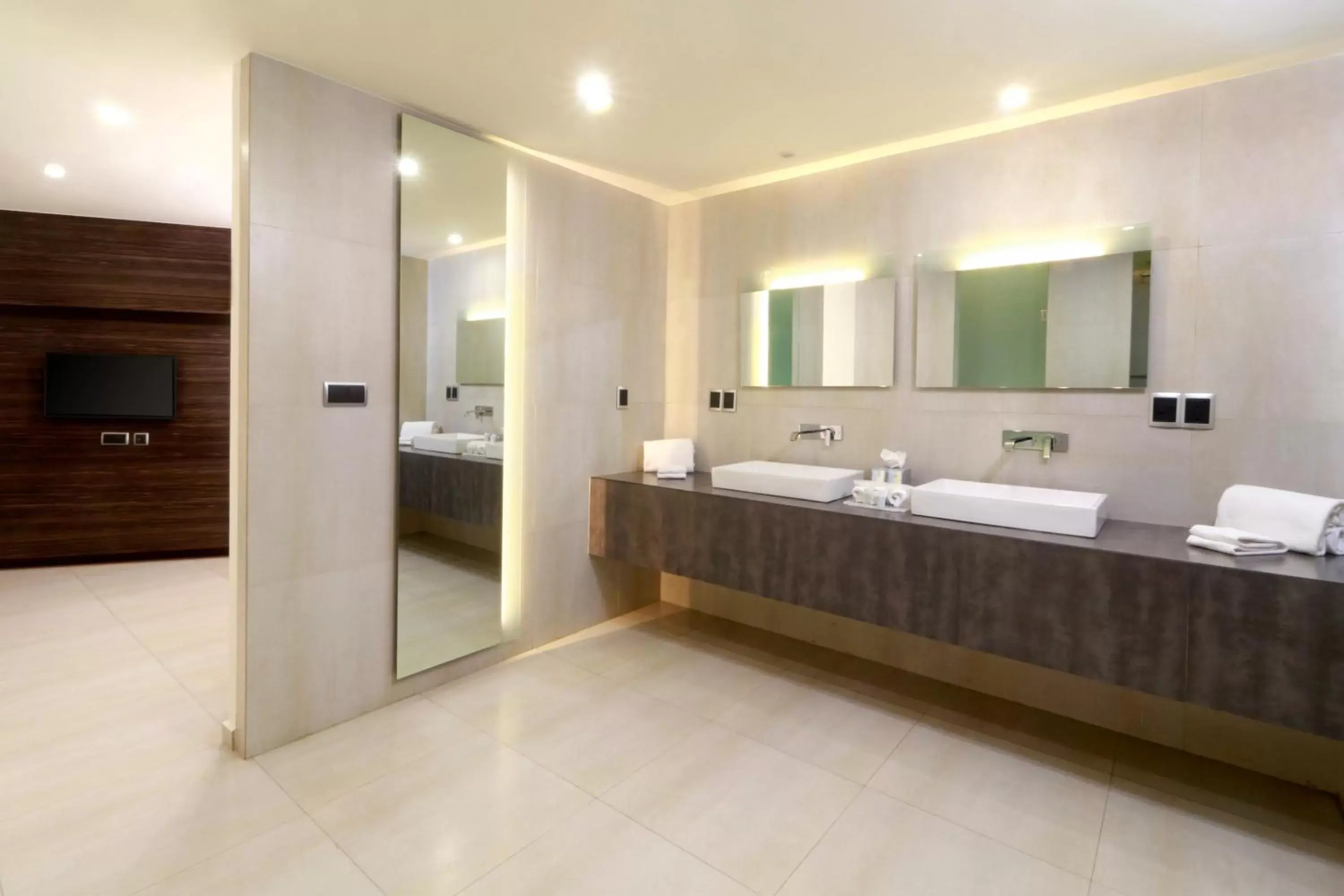 Photo of the whole room, Bathroom in Holiday Inn Express Mexico Aeropuerto, an IHG Hotel
