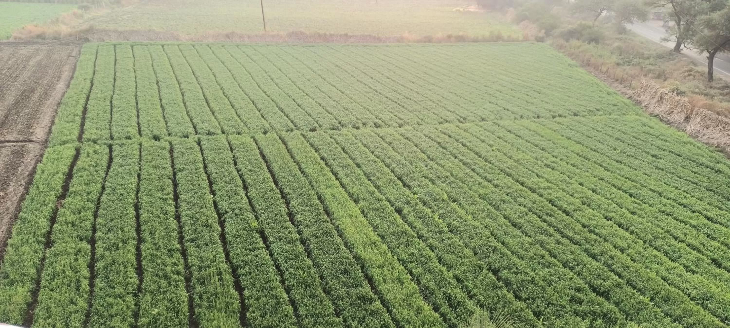 Hotel Nisarg Lodging And Restaurant