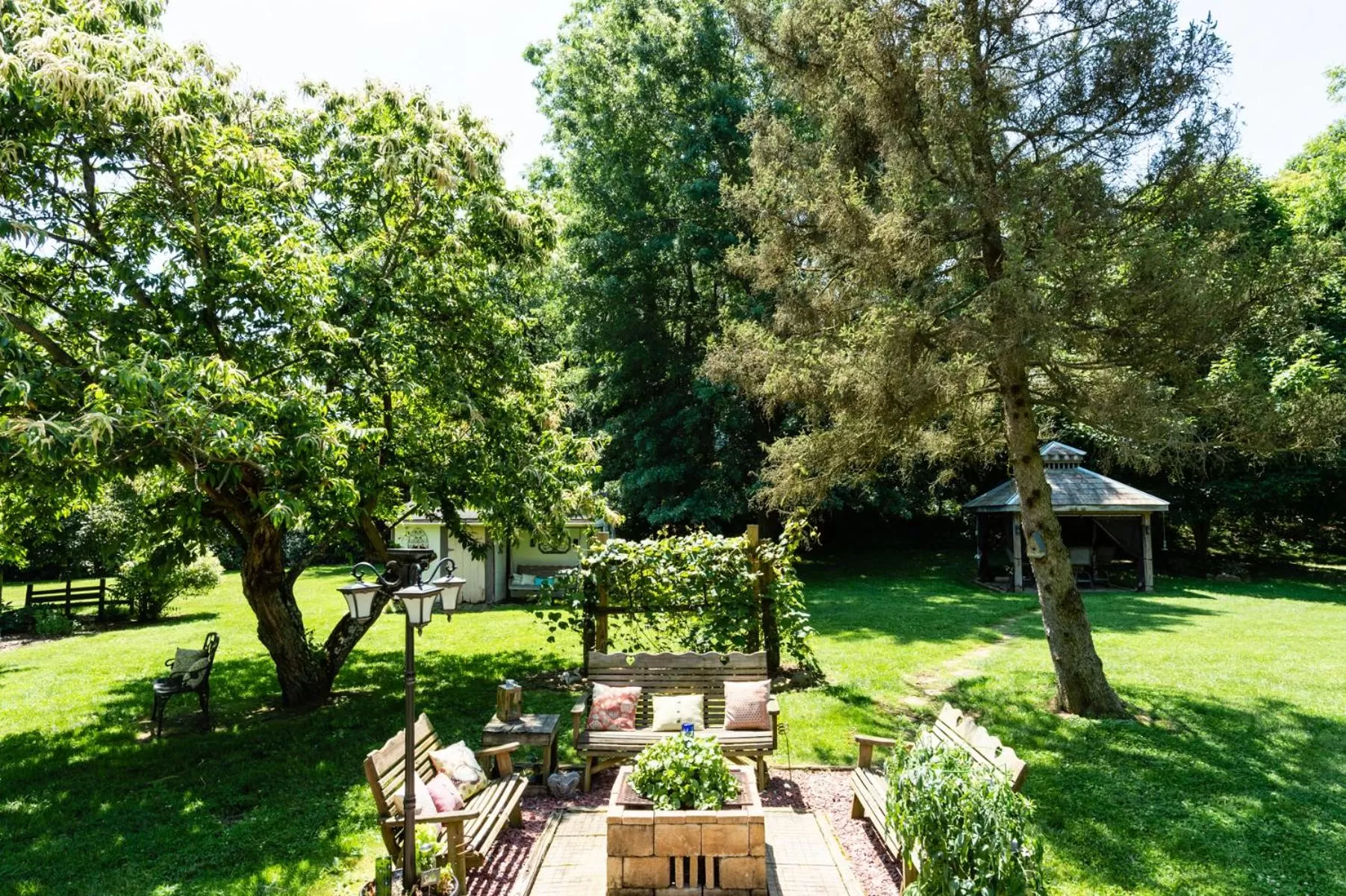 The Pines of Dresden