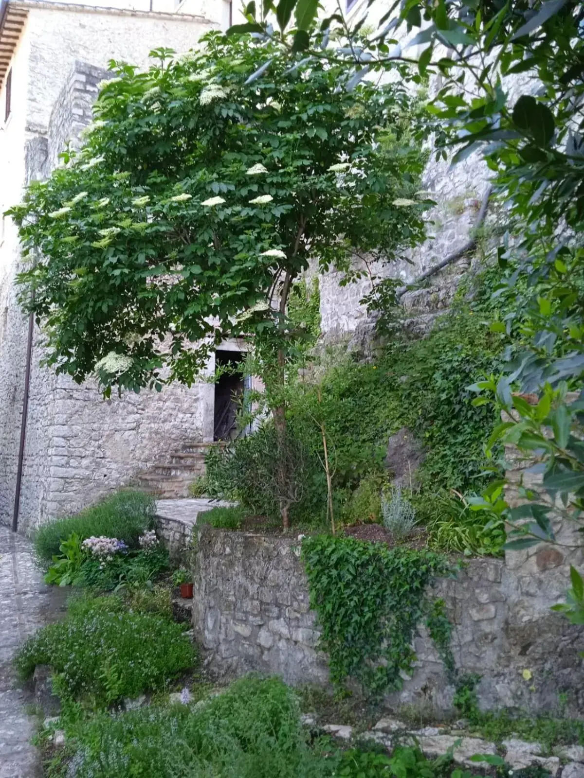 Garden in Borgo San Valentino