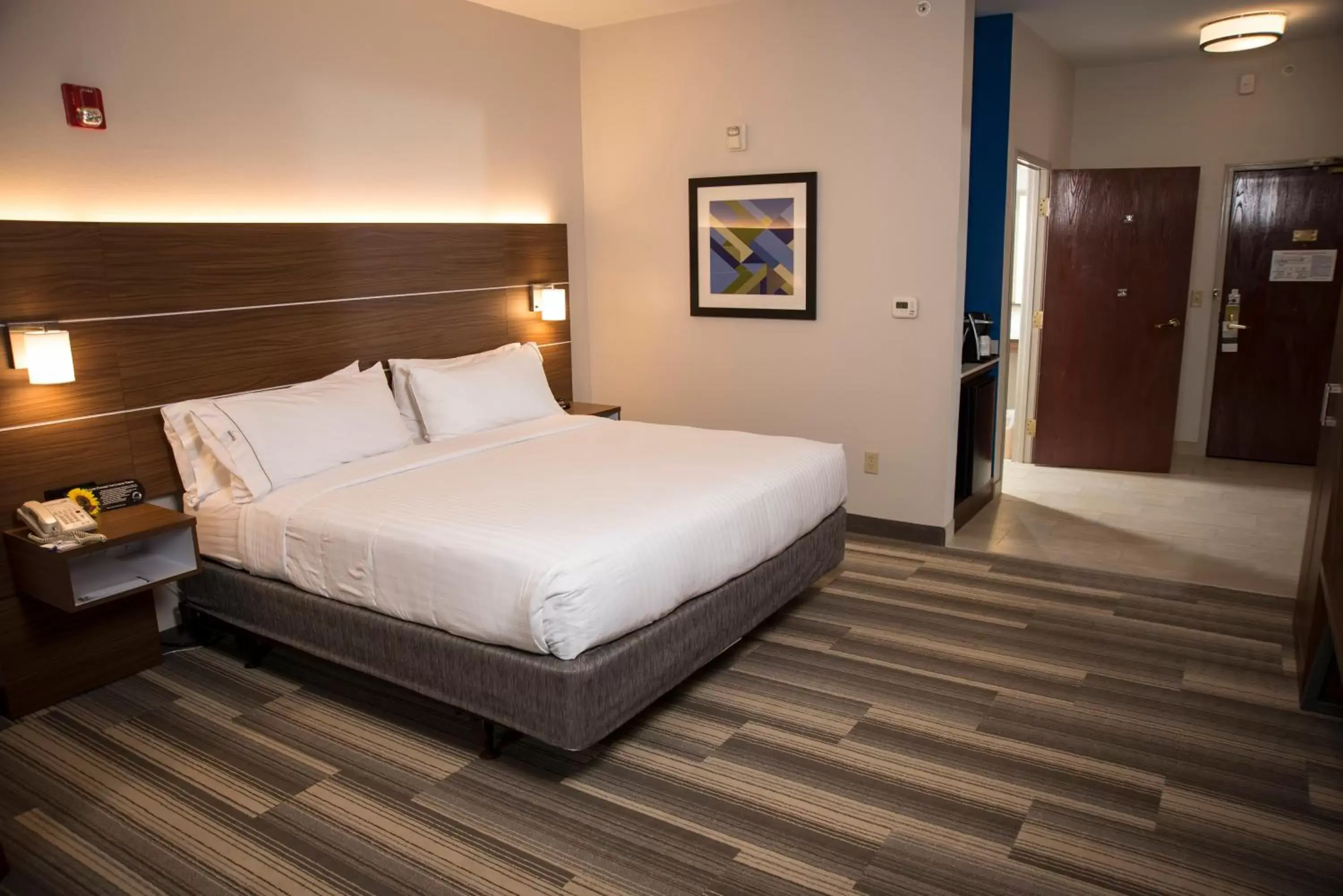 Photo of the whole room, Bed in Holiday Inn Express Hotel & Suites Lexington-Downtown University, an IHG Hotel