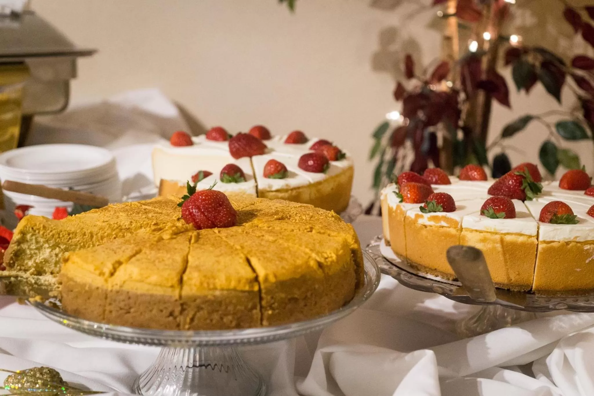 Meals in Albany Plaza Hotel