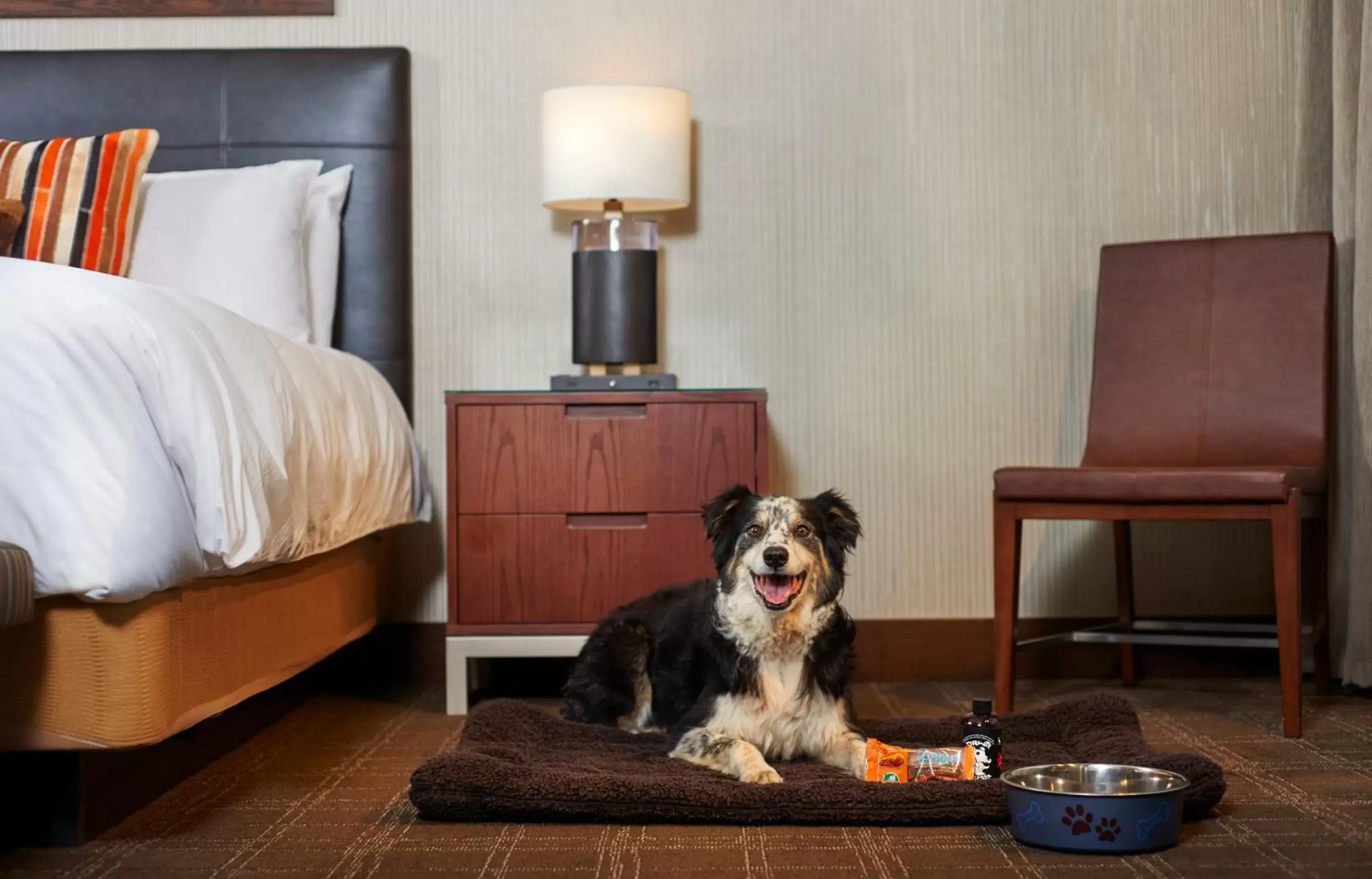 Pets in Tetherow Hotel