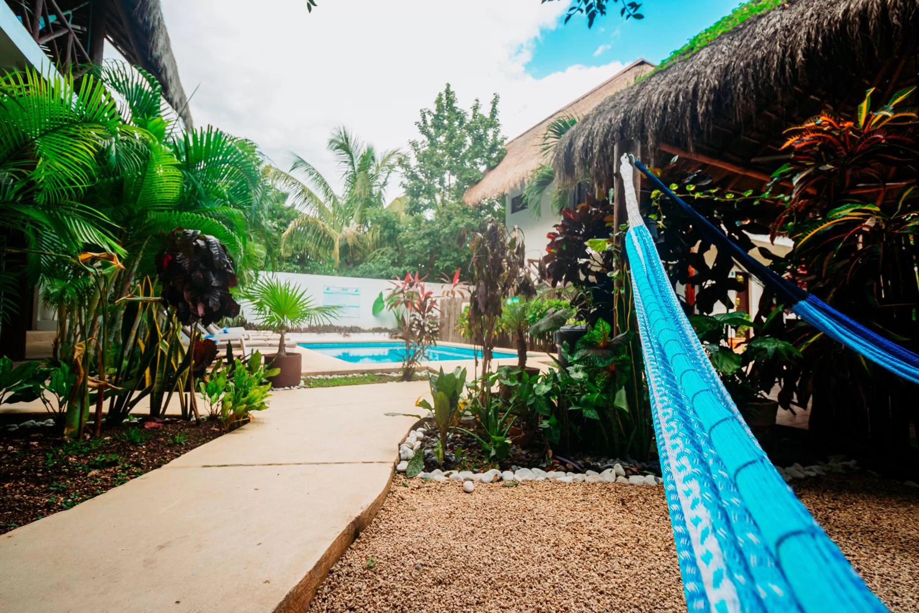 Patio, Swimming Pool in Azul 36 Hotel