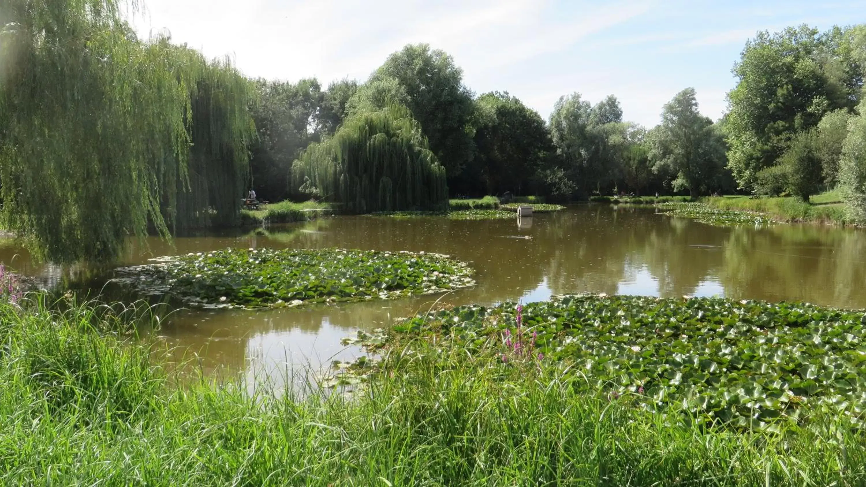 Lake view in Jolysable