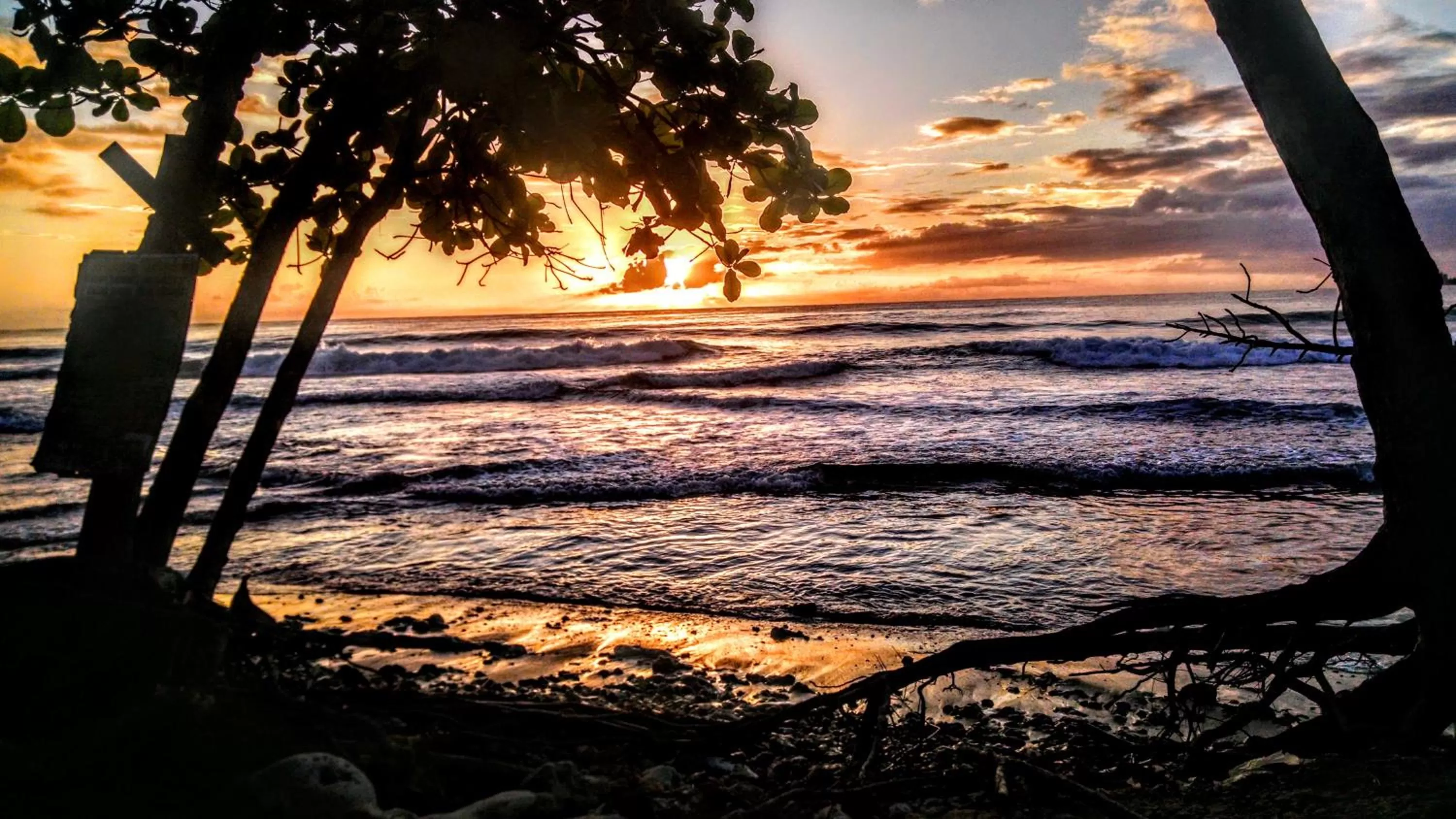 Off site in Surf Break at Paunch