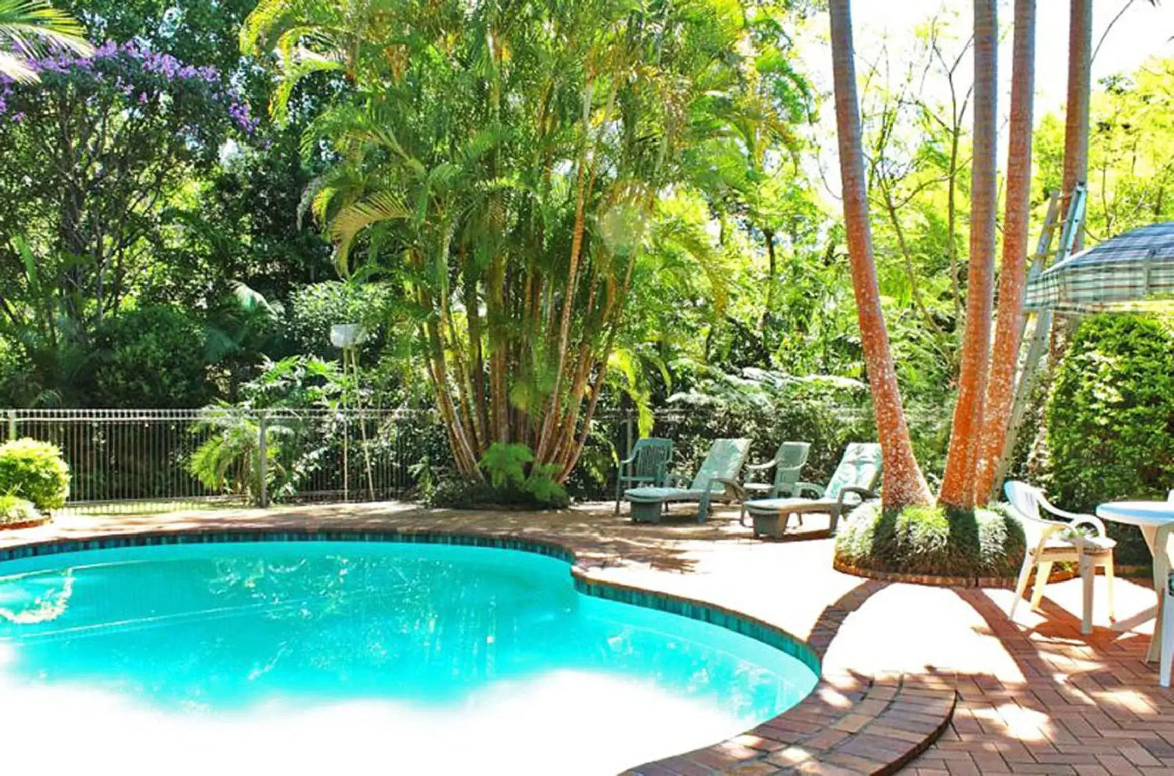 Garden, Swimming Pool in Bella Vista Bellingen