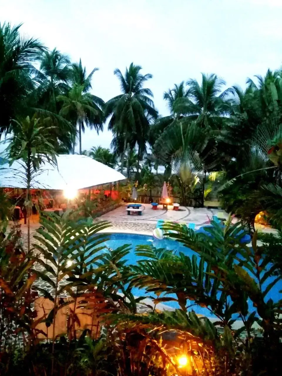 Natural landscape, Pool View in Hotel Playa Westfalia