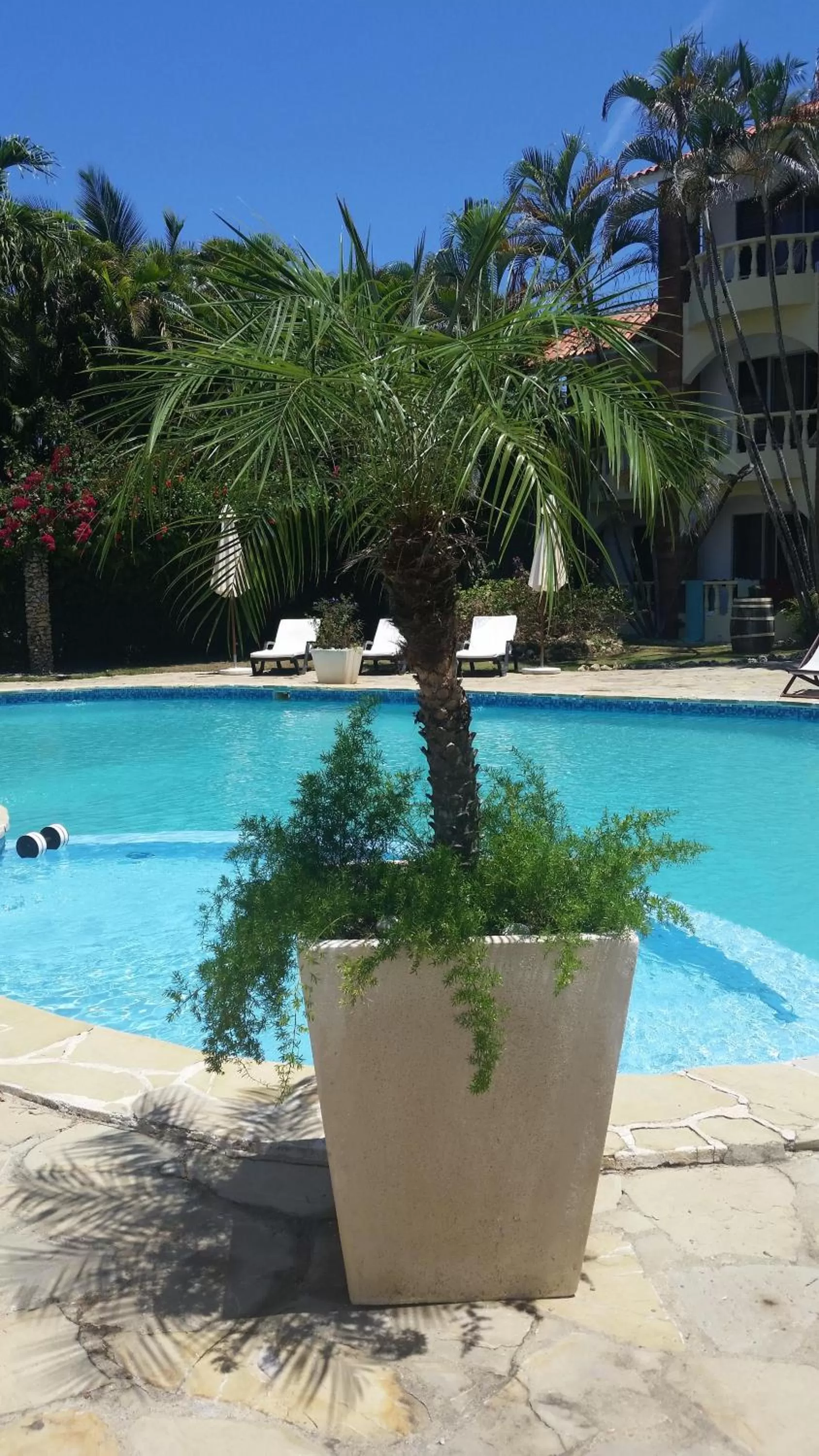 Swimming pool in Hotel Voramar