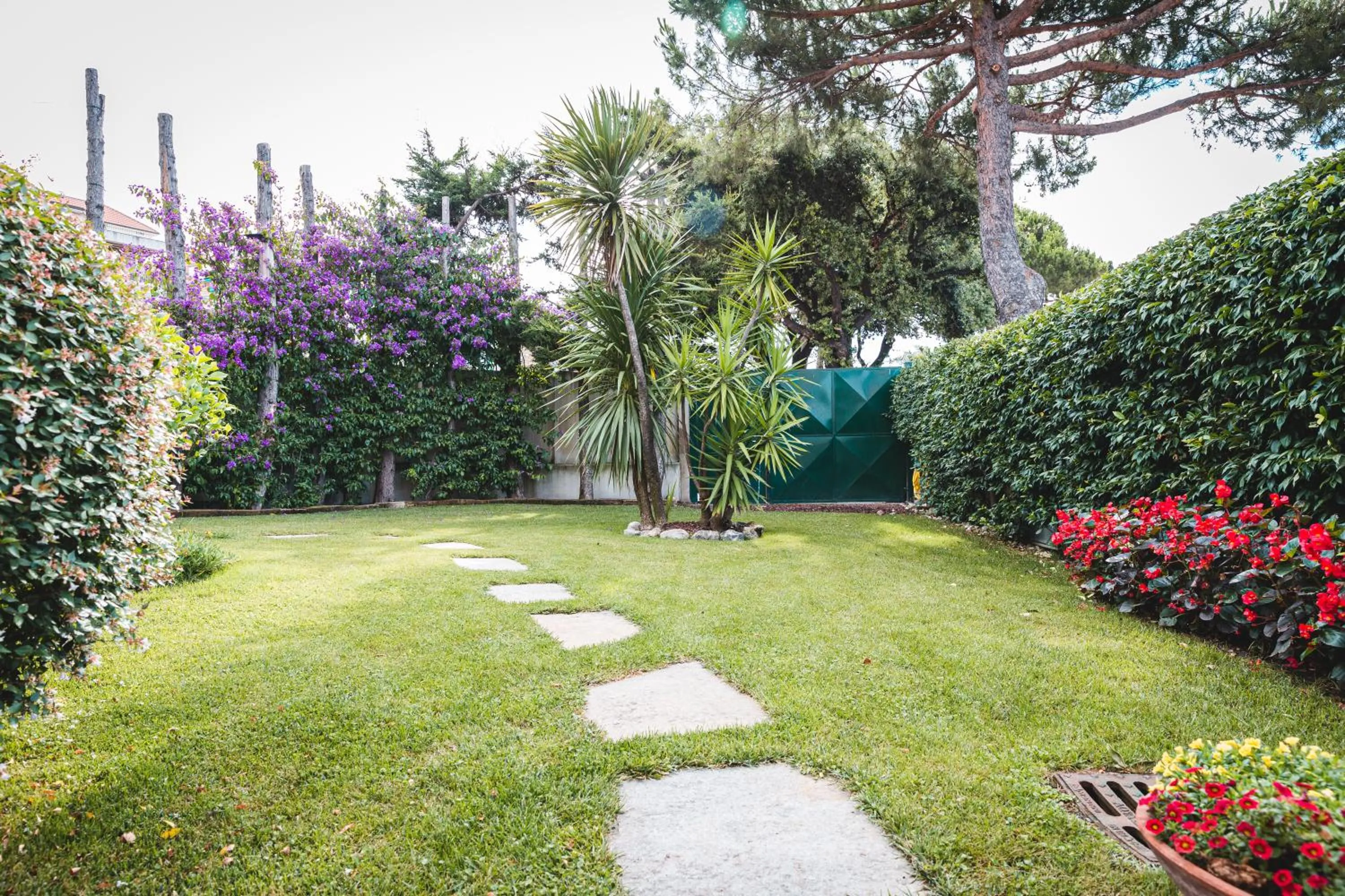 Garden in Hotel Santa Maria