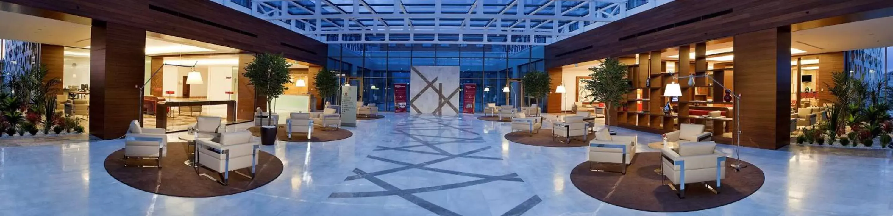 Lobby or reception, Swimming Pool in Hilton Garden Inn Konya