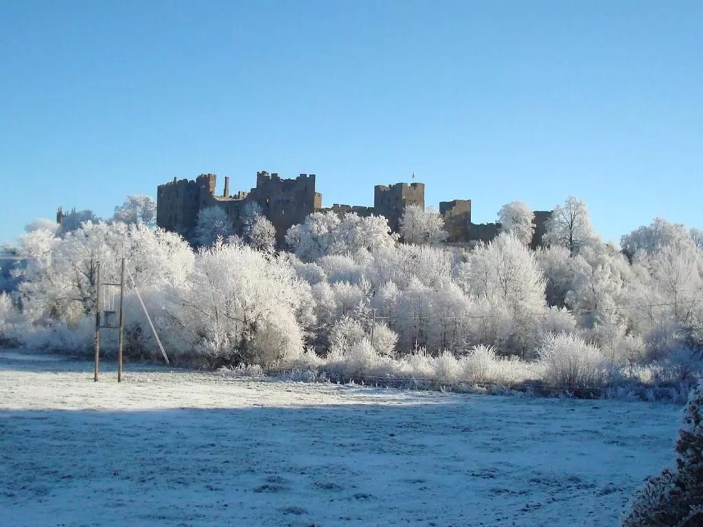 Other in The Cliffe at Dinham