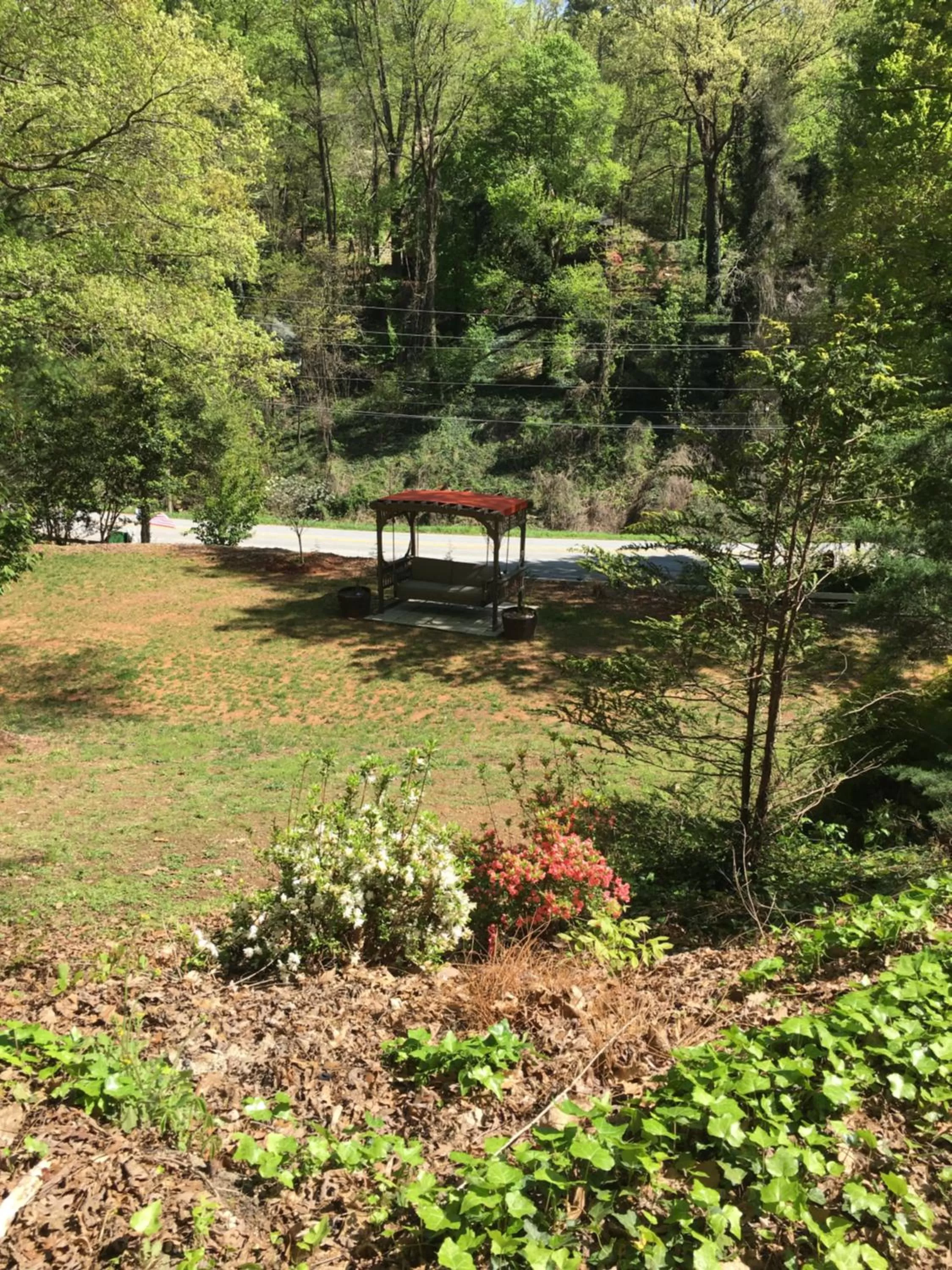 Natural landscape, Garden in Grafton Lodge