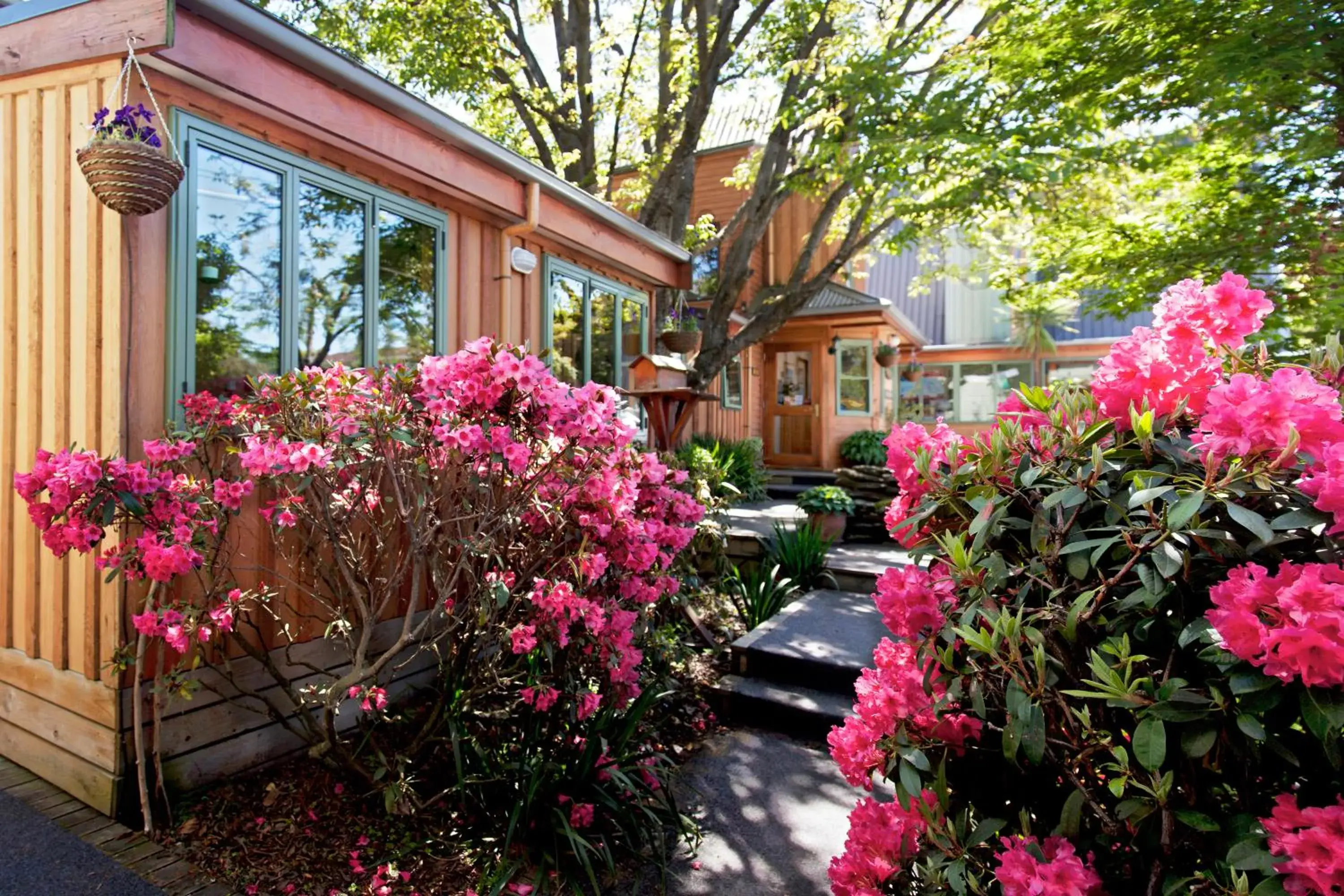 Garden in Te Wanaka Lodge