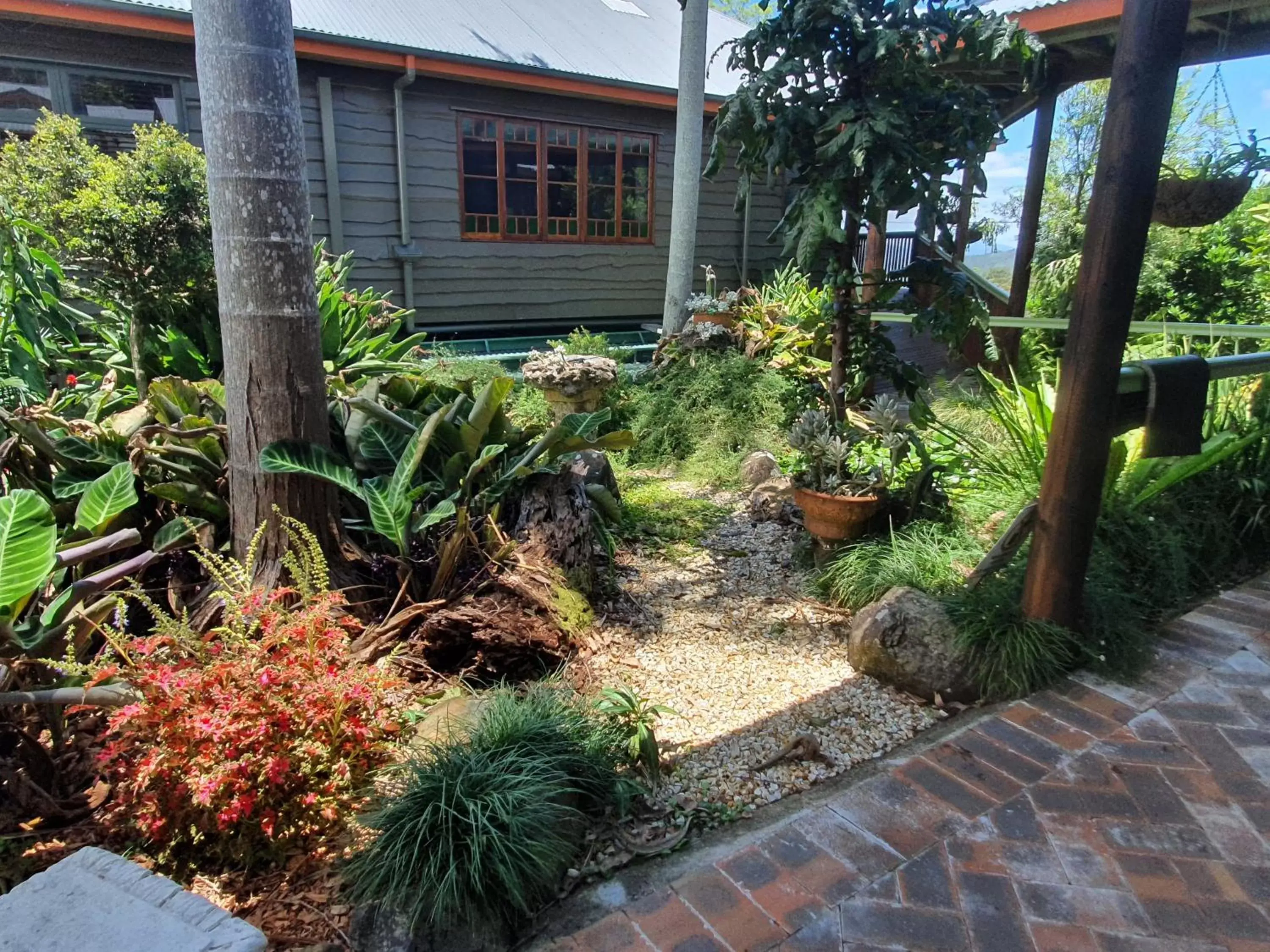 Garden in Tamborine Mountain Bed and Breakfast