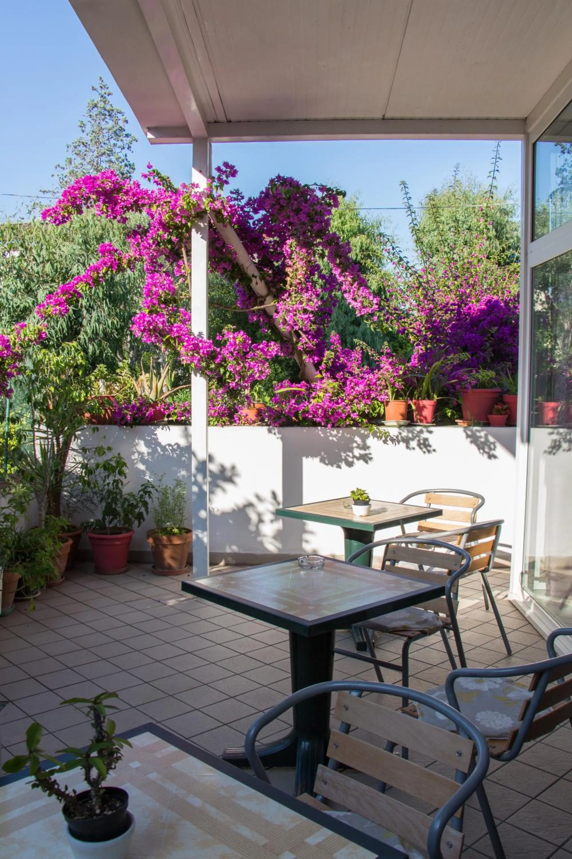 Restaurant/places to eat in Hotel Villa Cecilia