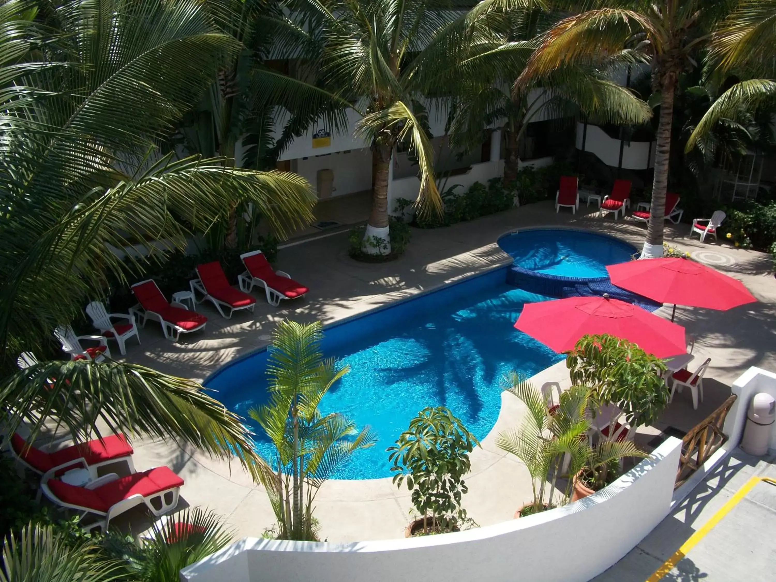 Day, Pool View in Hotel Palapa Palace Inn