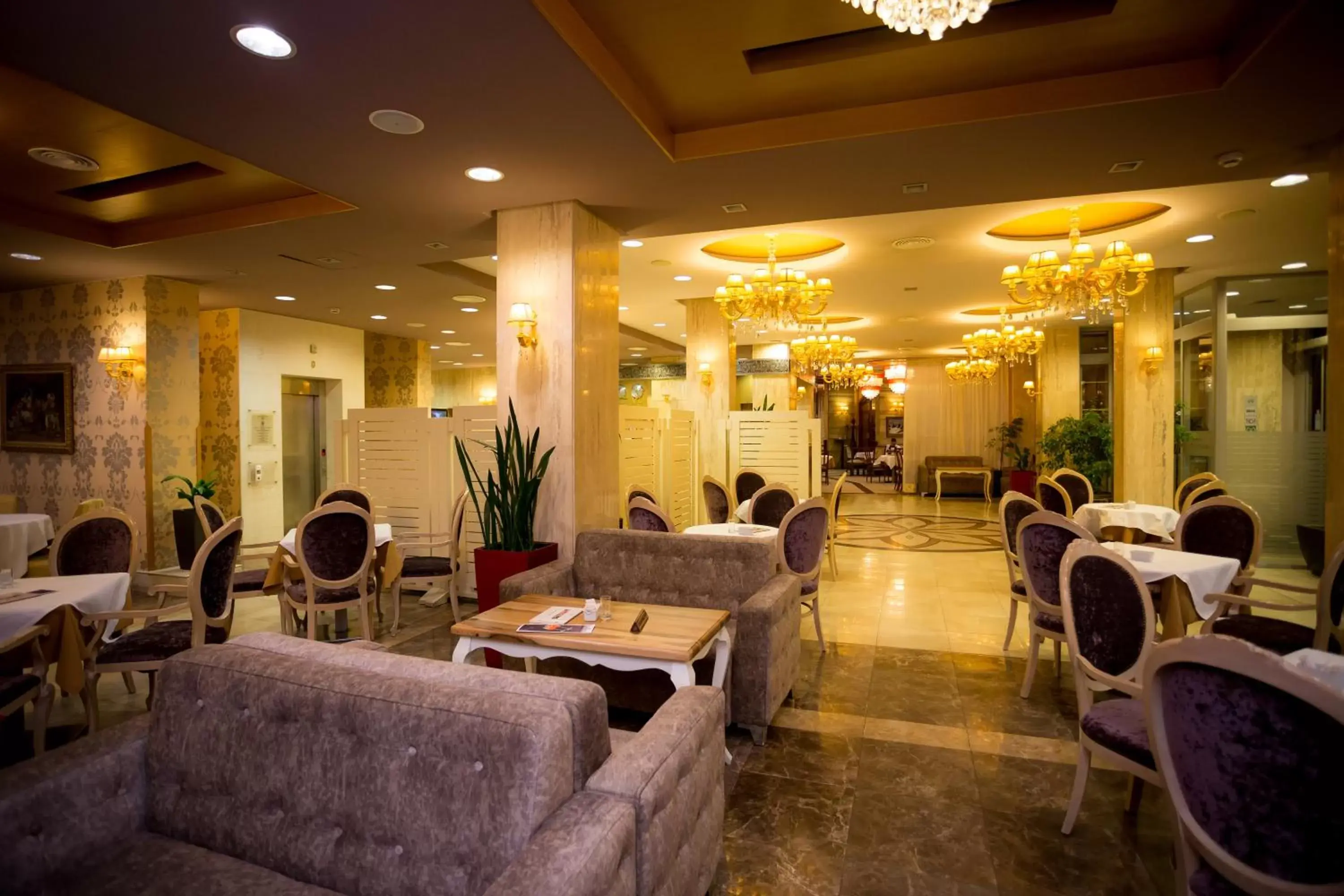 Lounge or bar in Hotel Colosseo & Spa