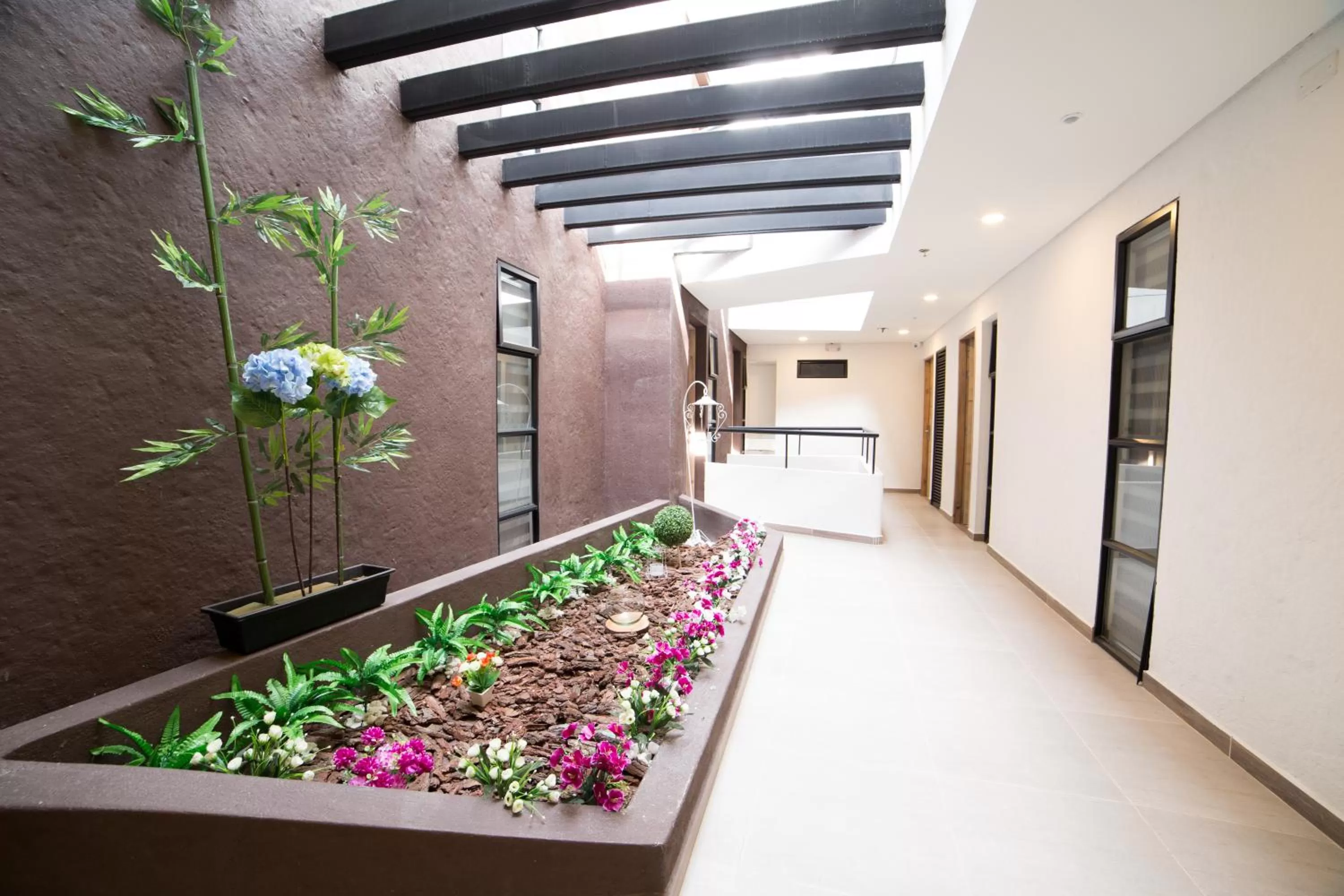 Area and facilities in Hotel Med 70