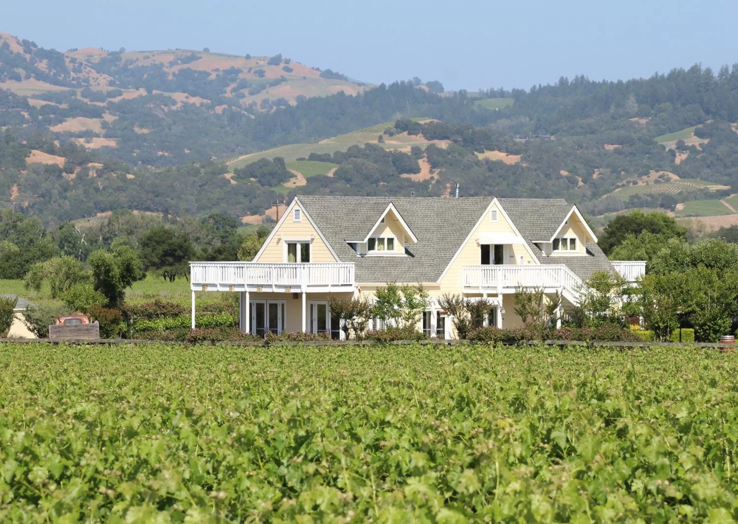 Kitchen or kitchenette in Geyserville Inn