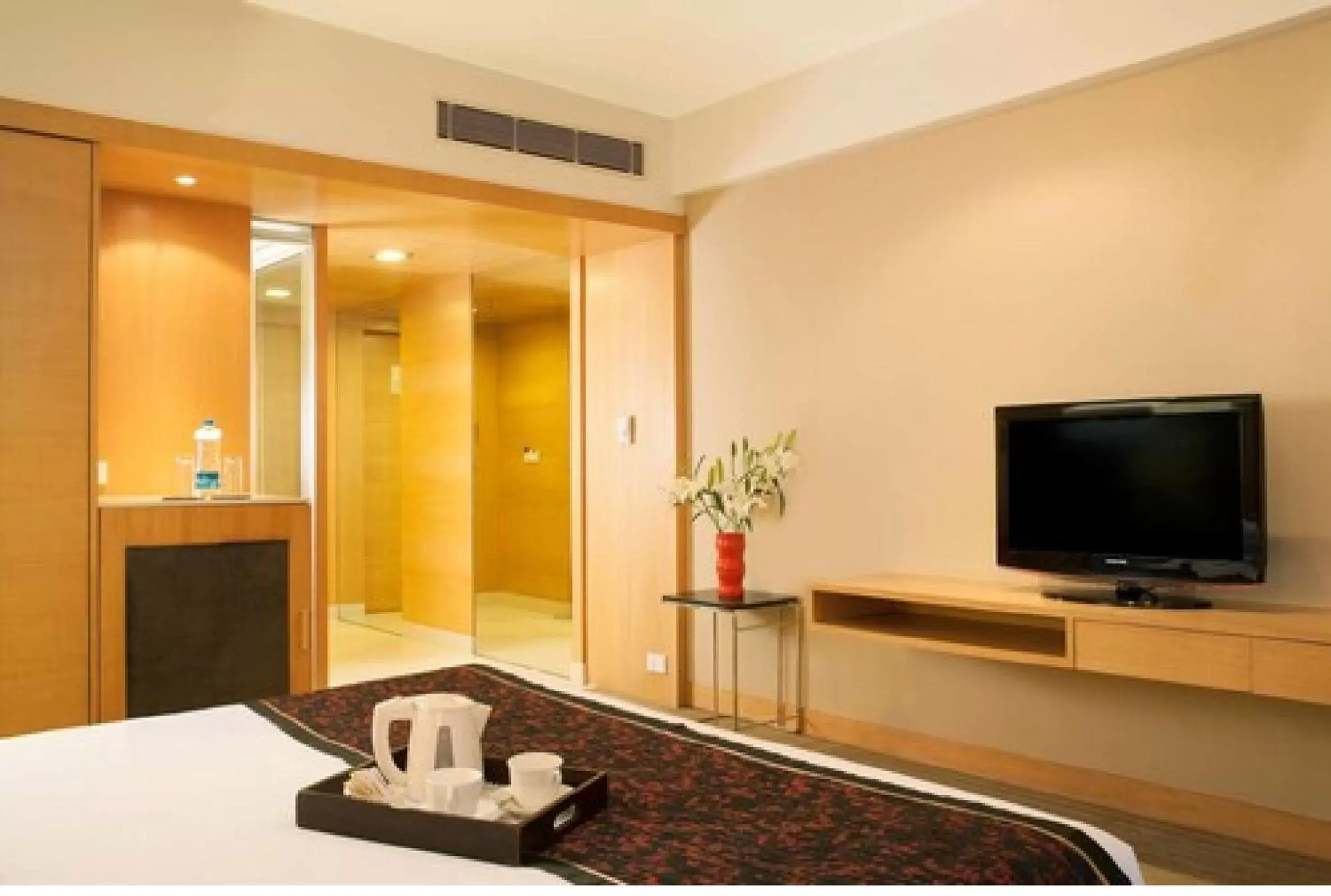 TV and multimedia, TV/Entertainment Center in Radisson Blu Hotel Pune Kharadi