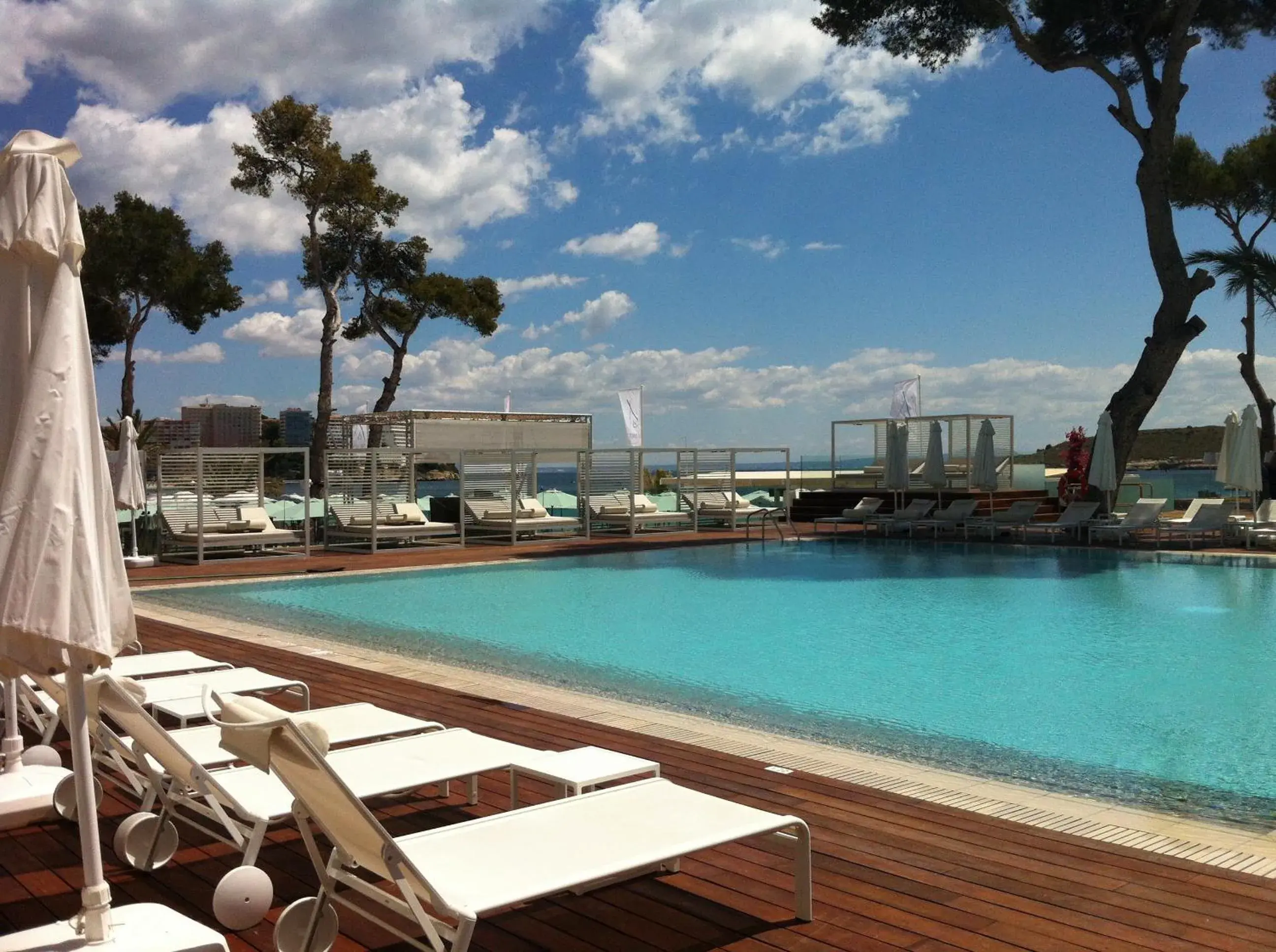 Swimming Pool in Melia South Beach