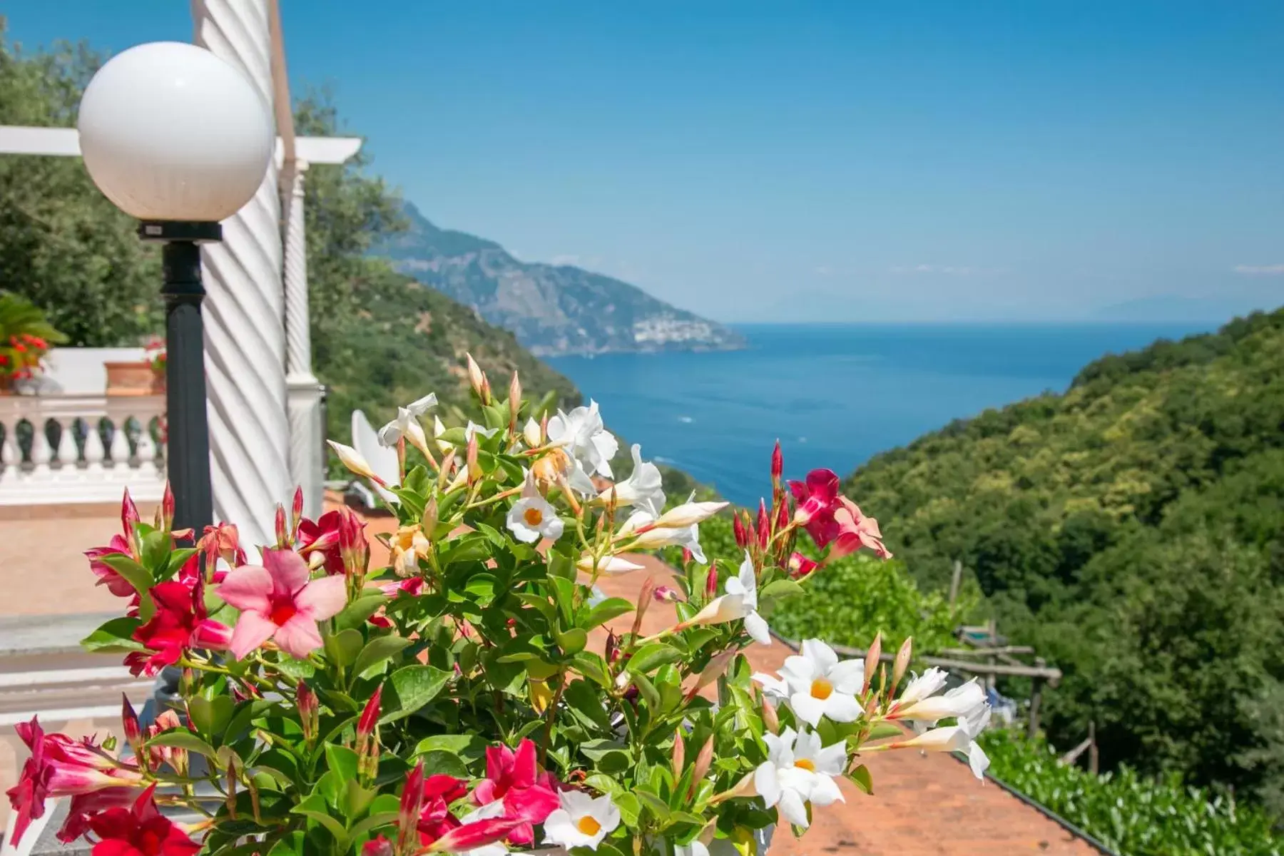 Natural landscape, Mountain View in Villa Costanza sorrento B&b