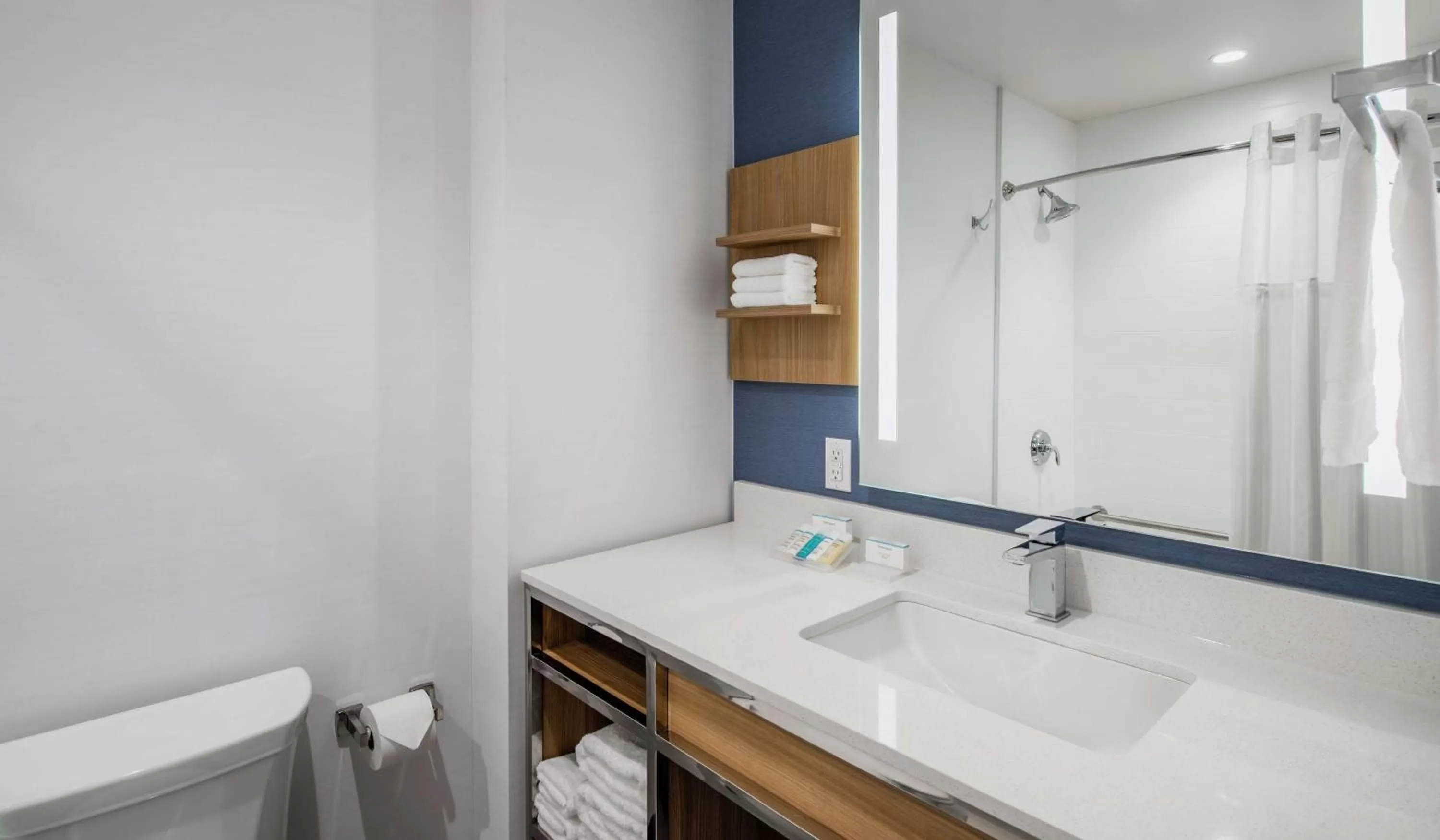 Bathroom in Hilton Garden Inn Winnipeg South