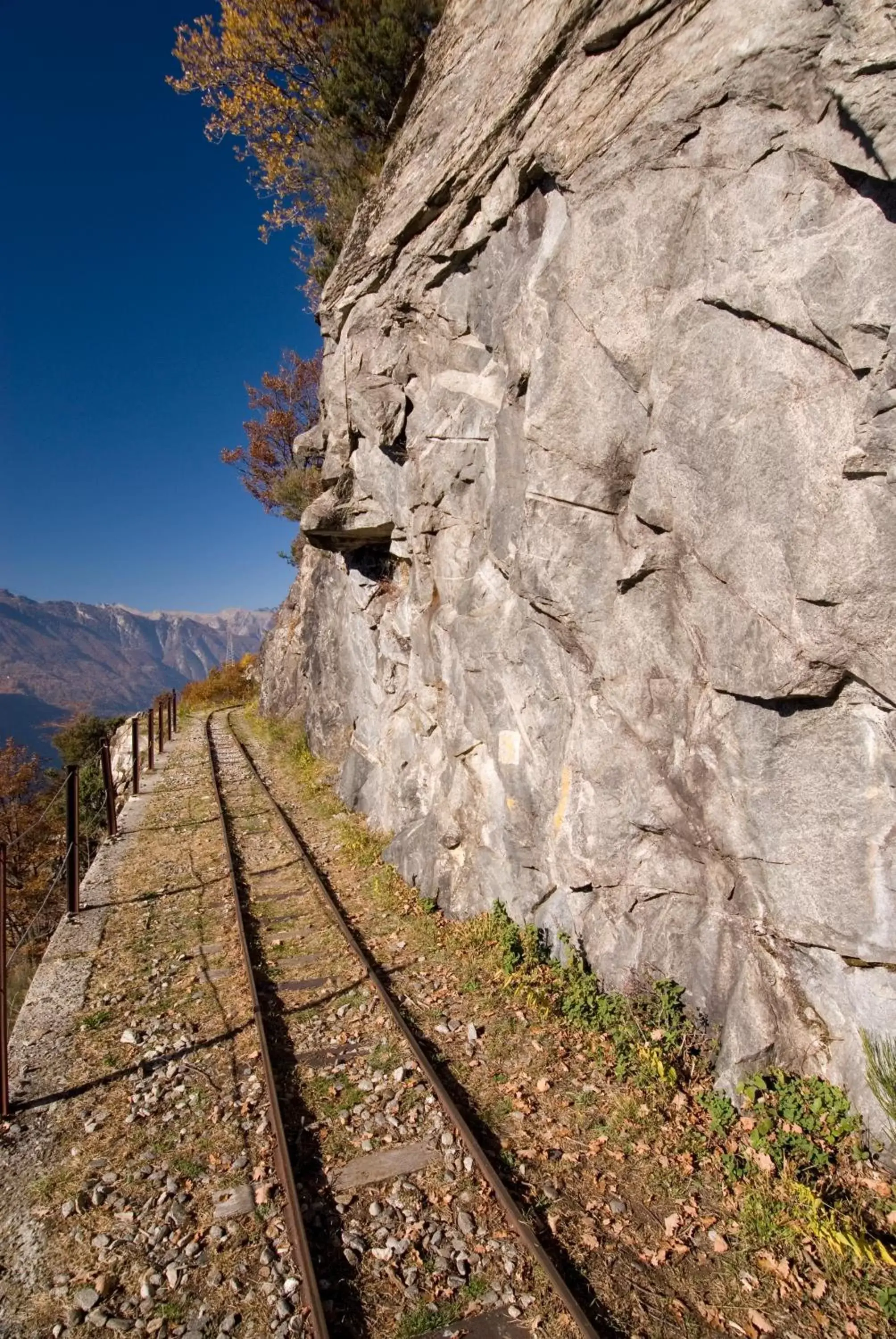 Natural Landscape in Hotel Saligari