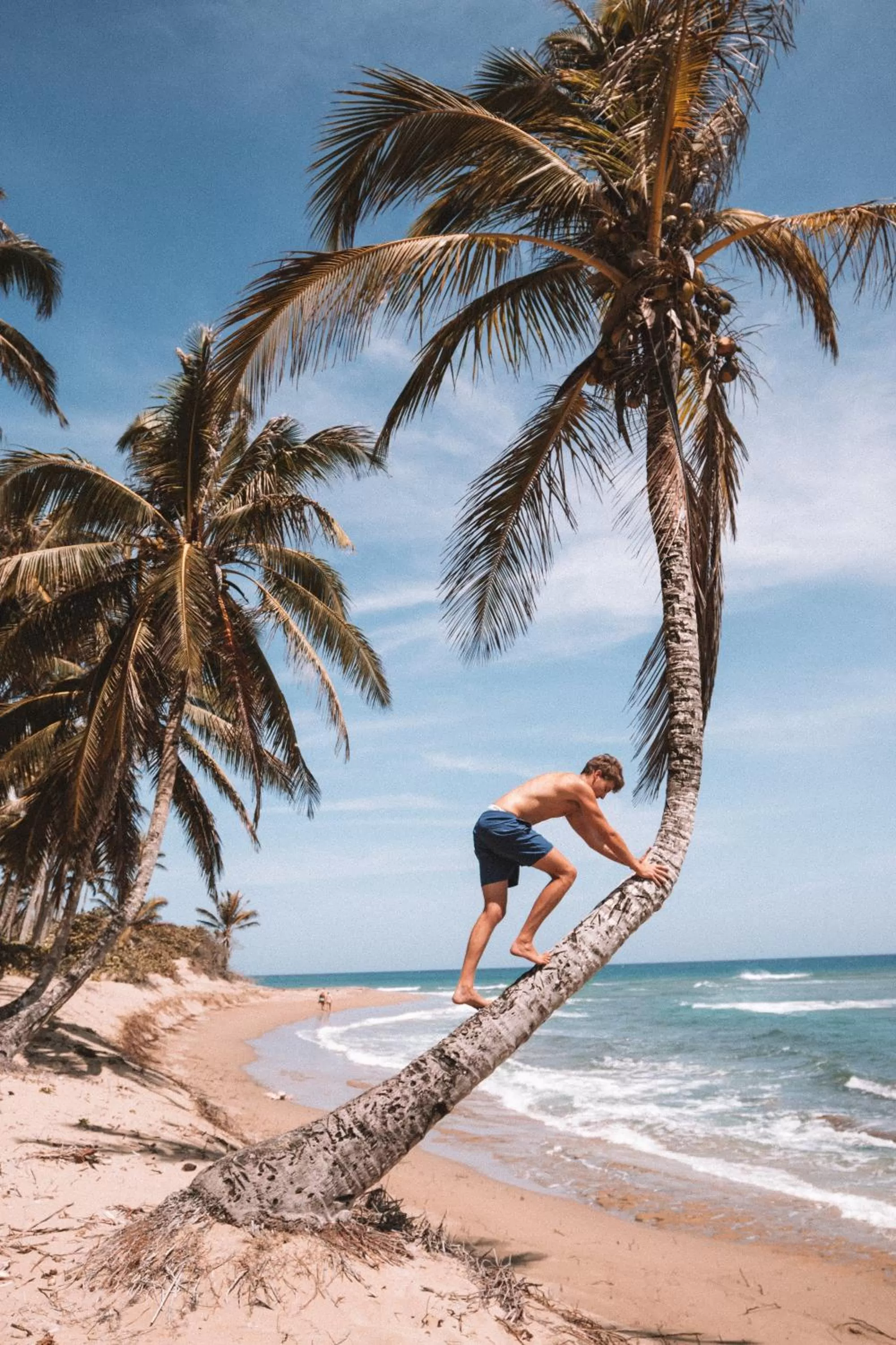 Cabarete Maravilla Eco Lodge Boutique Beach Surf Encuentro, Kite, by AA Crypto Group