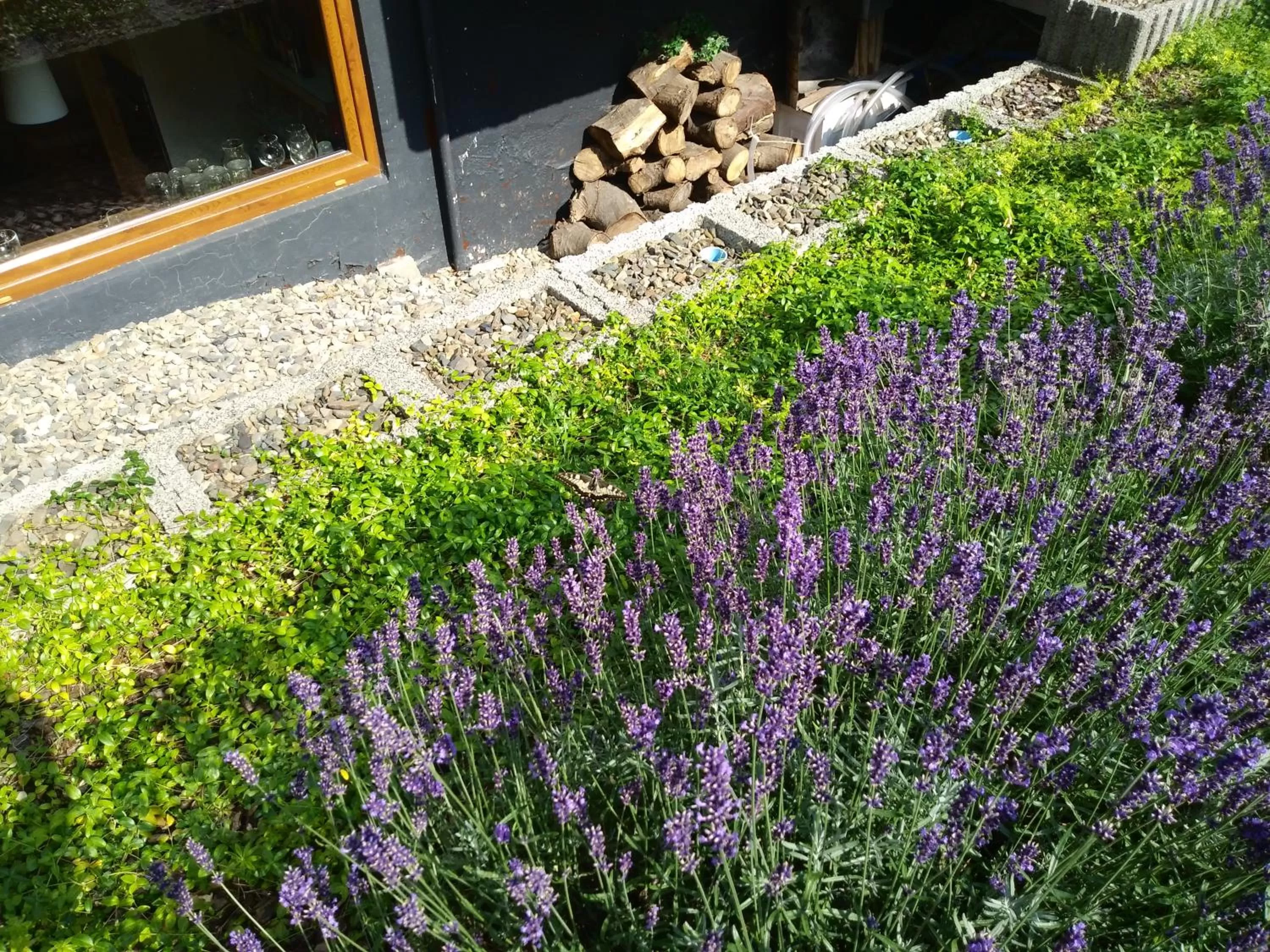 Garden in B&B Orchidee