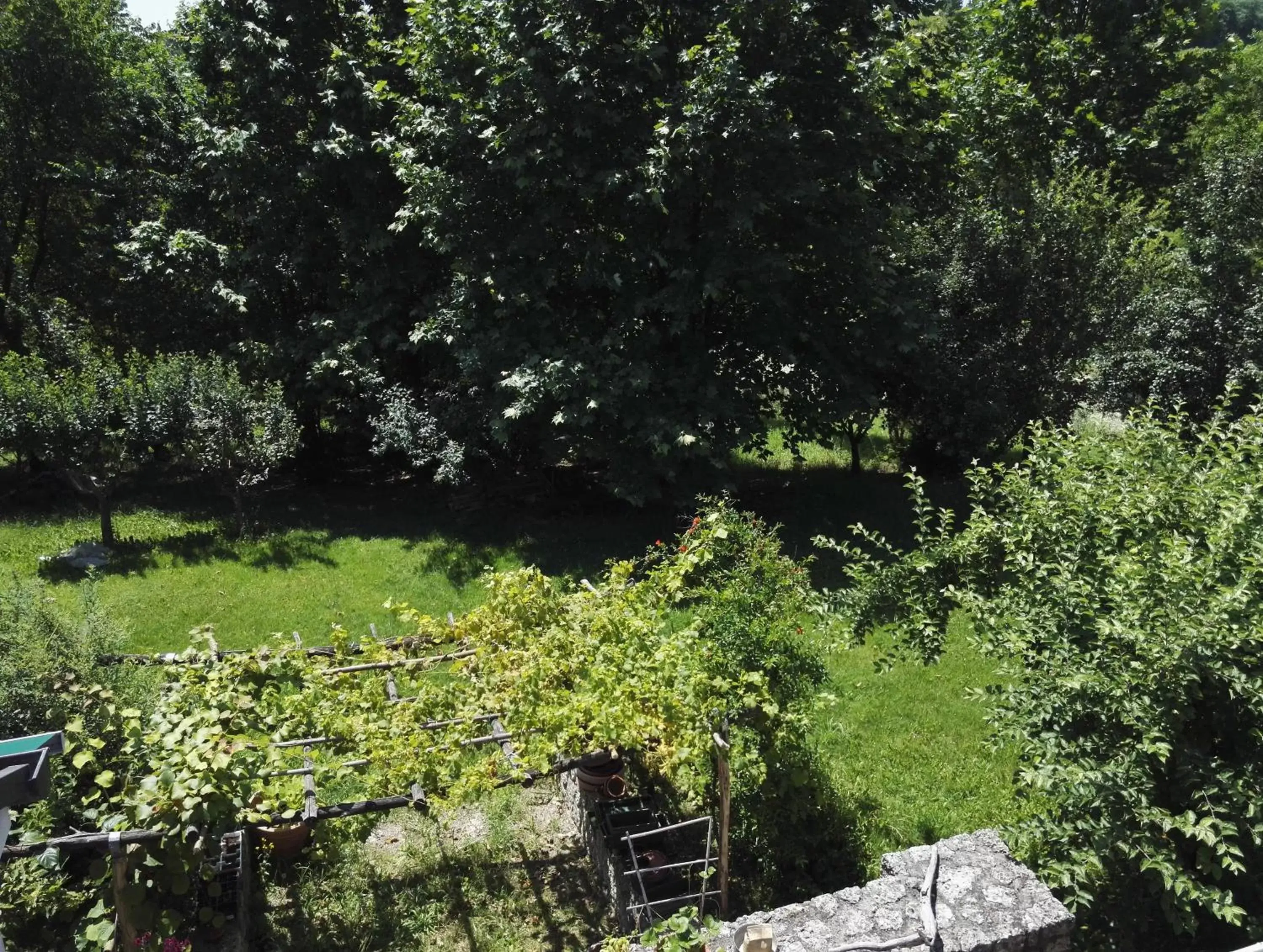 Inner courtyard view, Garden in Il giuggiolo