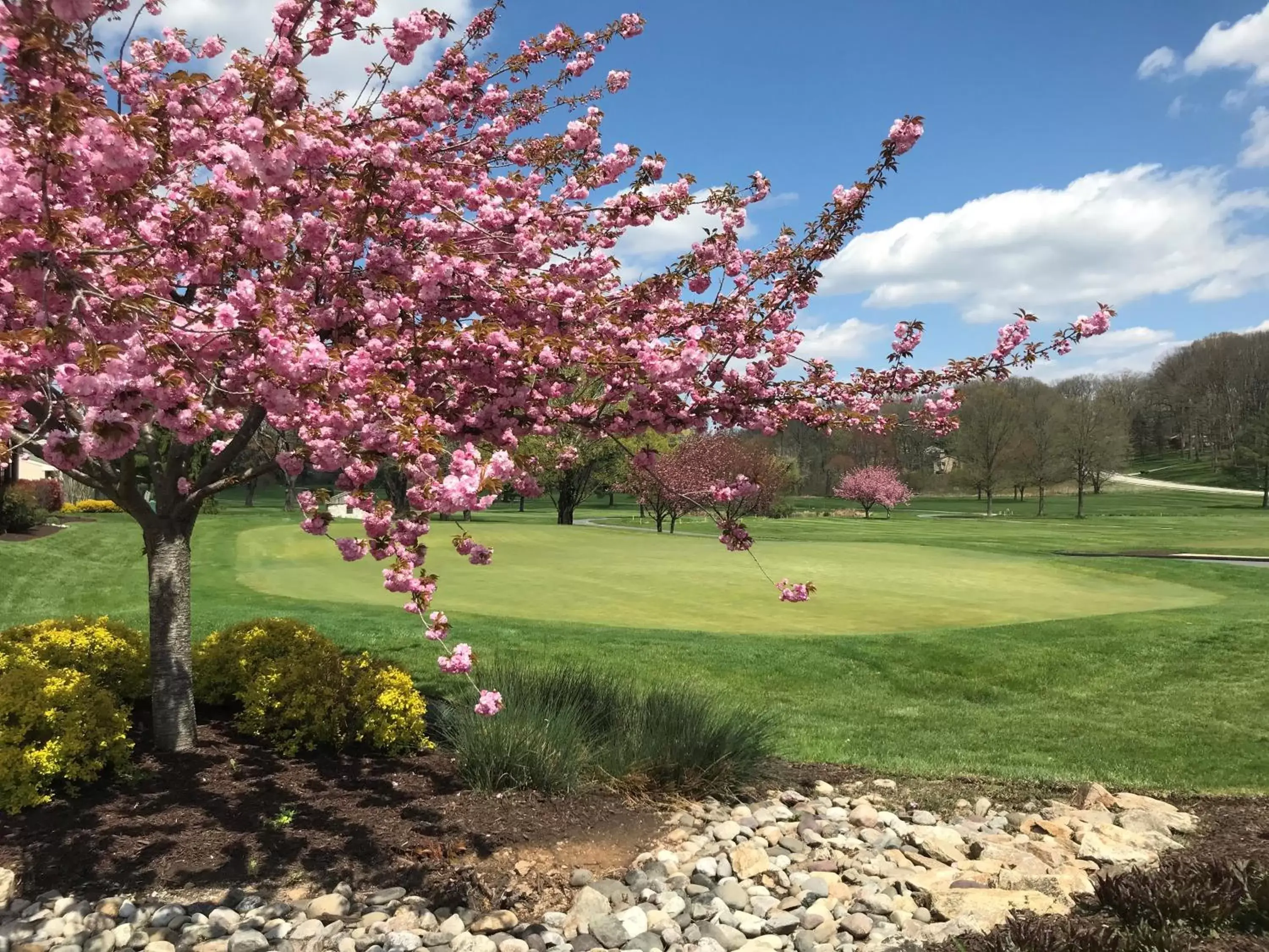 Garden in Turf Valley Resort