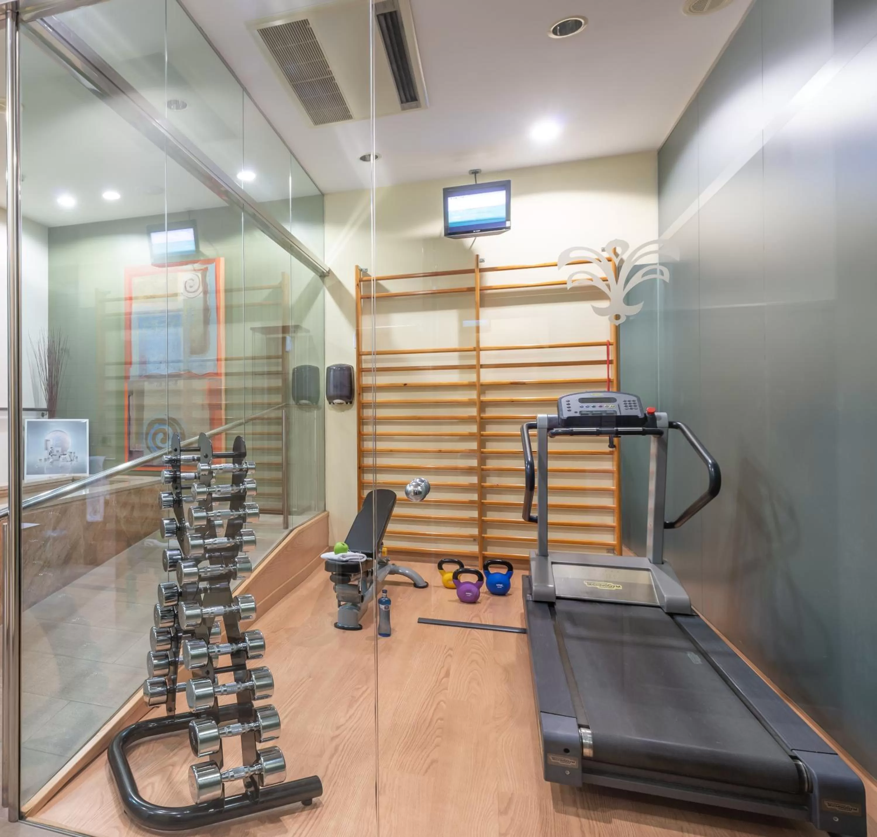 Fitness centre/facilities in Hotel Spa Termes Carlemany