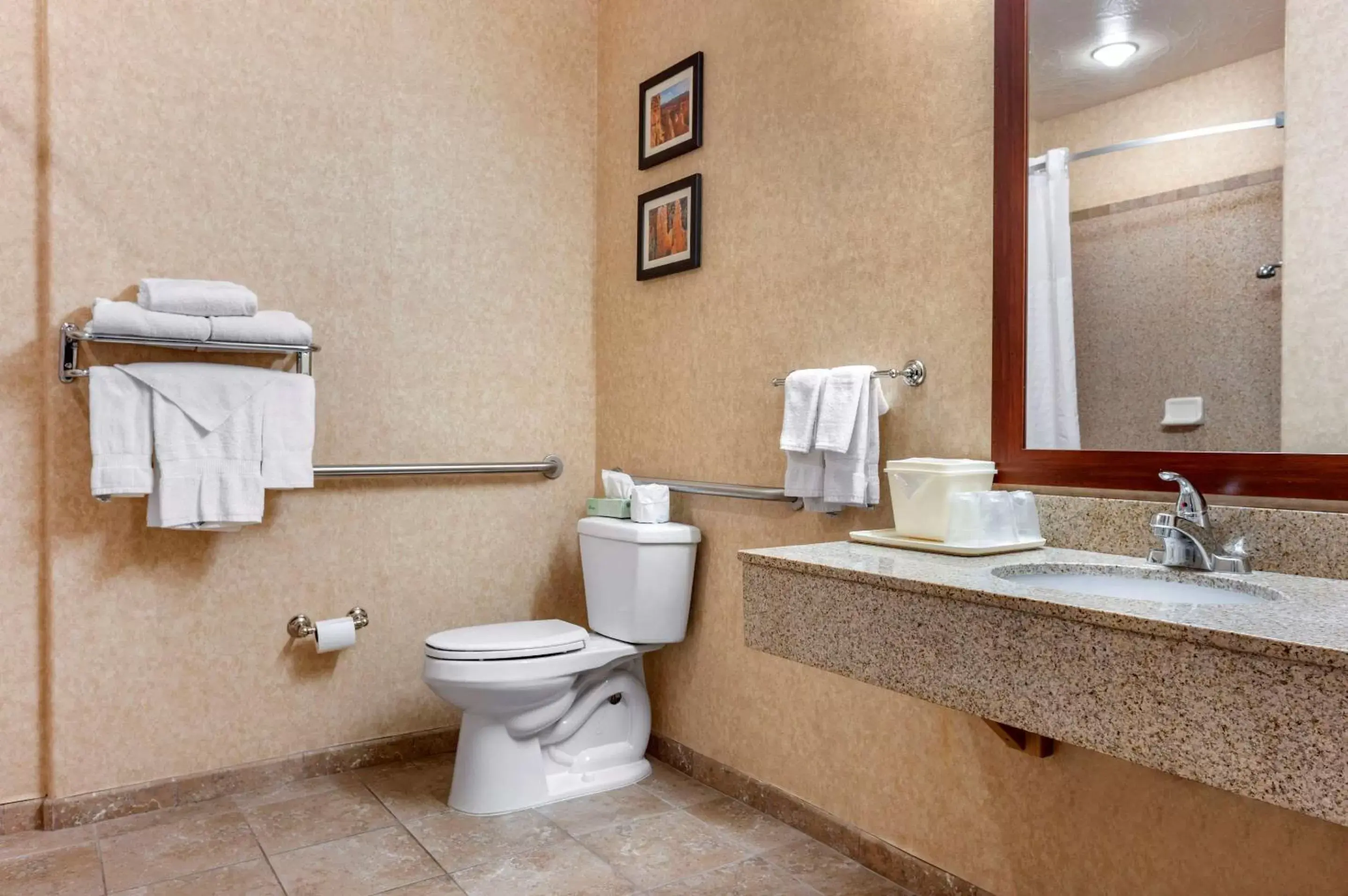 Bathroom in Comfort Inn at Convention Center Saint George