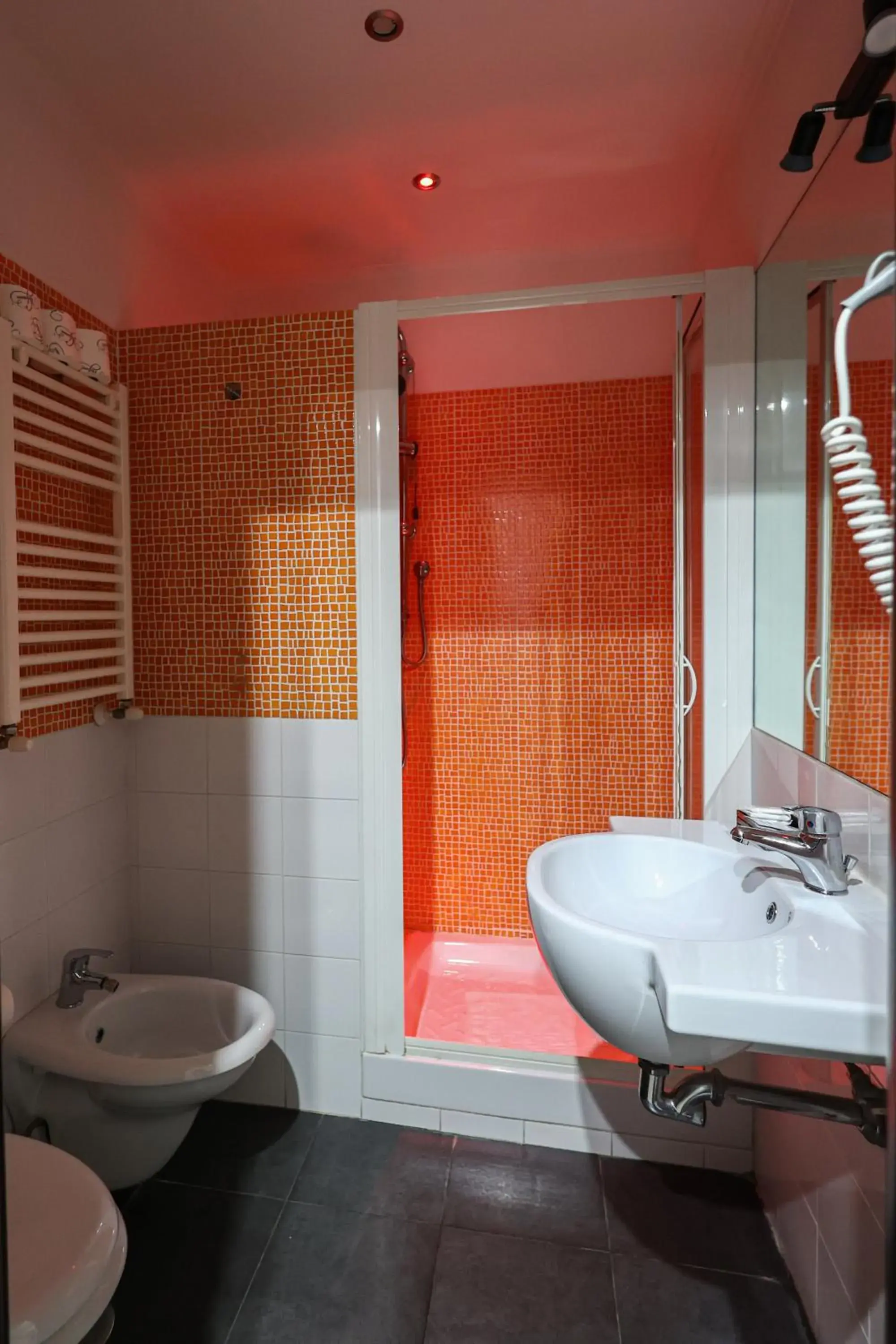 Shower, Bathroom in Seven Kings Relais