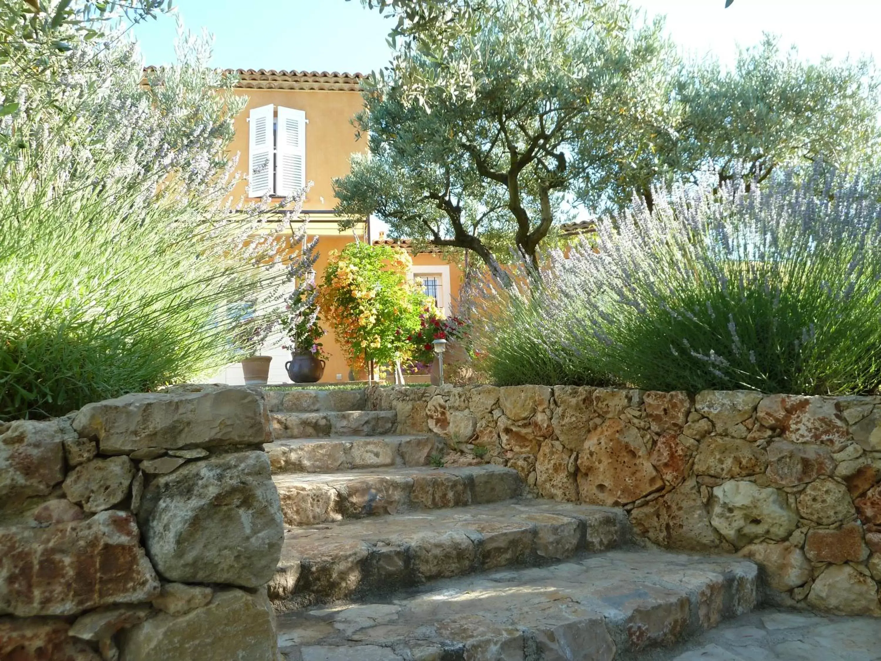 Garden in Mas de l'Olivette