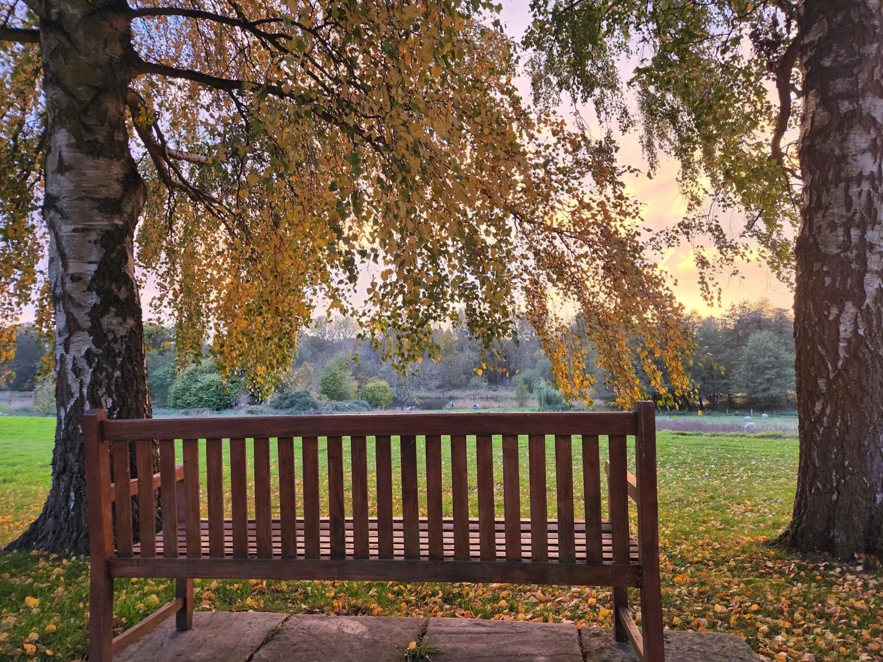 View (from property/room) in Stanton House Hotel