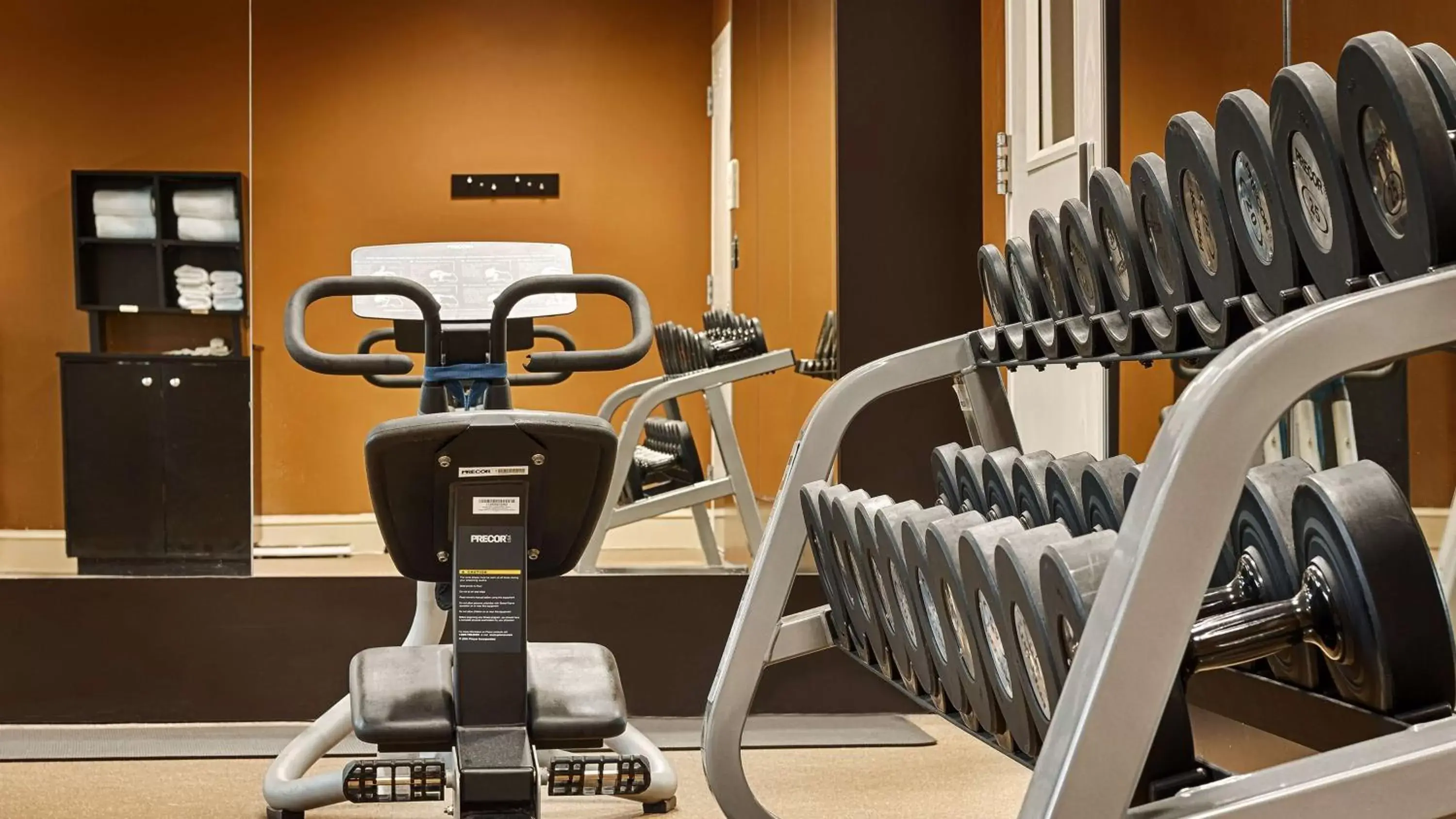 Fitness centre/facilities, Fitness Center/Facilities in Hilton Garden Inn Houston/Galleria Area