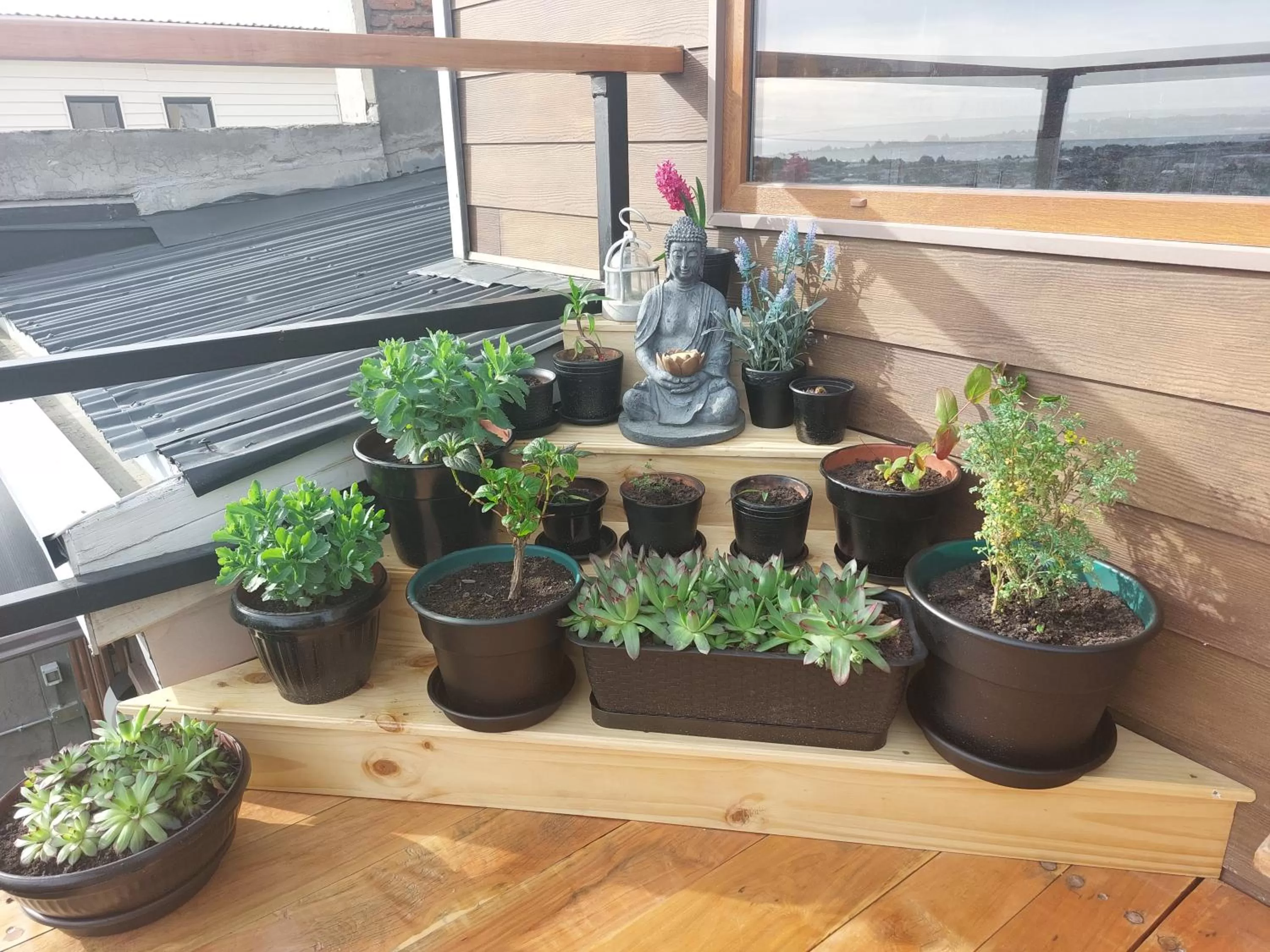 Balcony/Terrace in Hostal Buenavista Patagonia