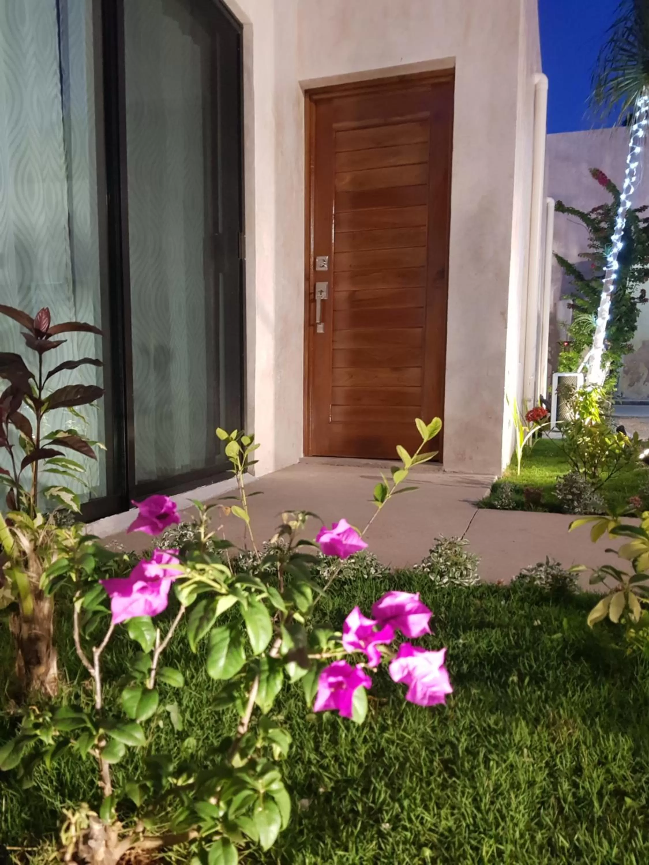 Facade/entrance in Hotel Boutique Bugambilias