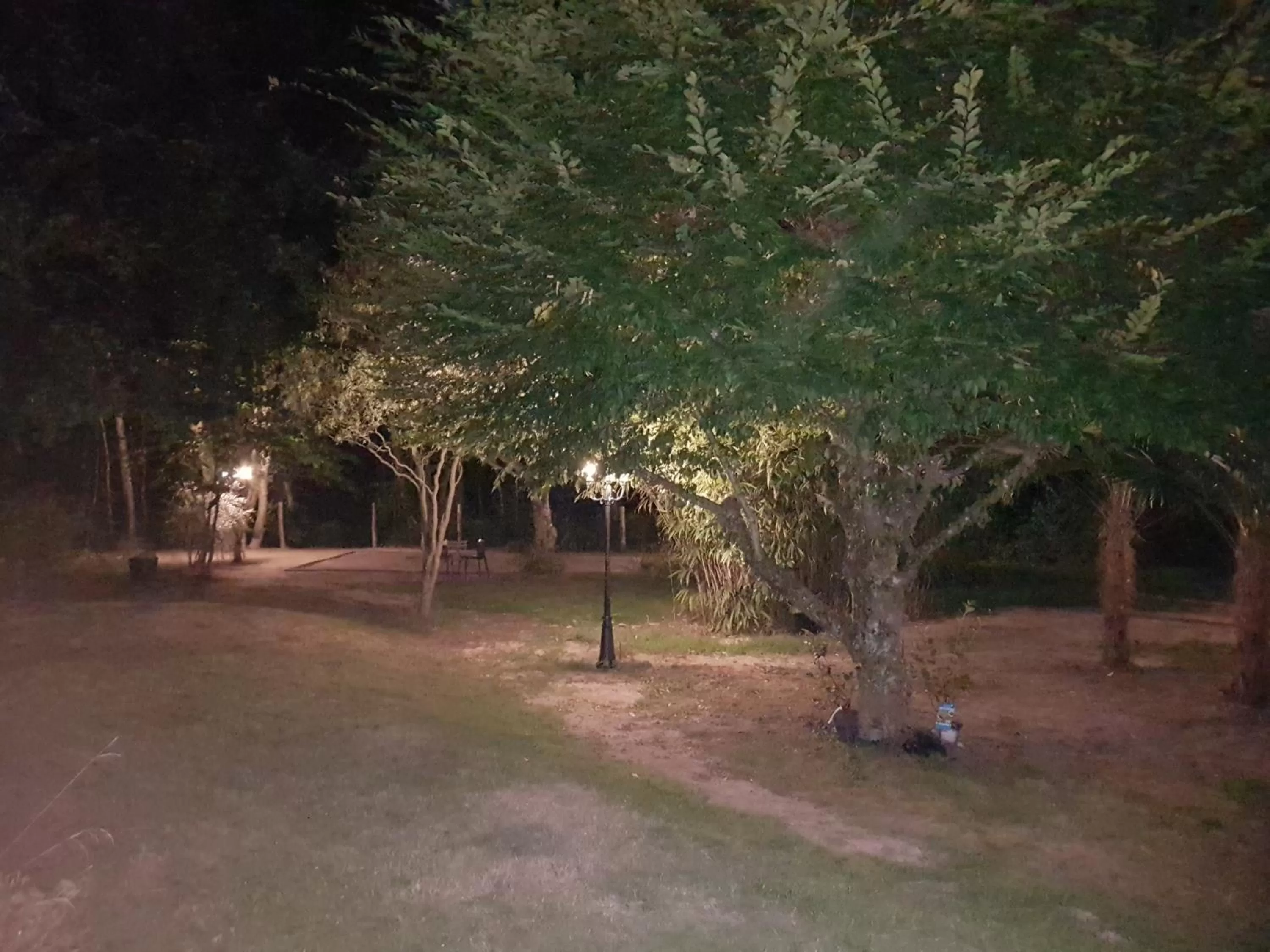 Garden in Domaine de Sahil